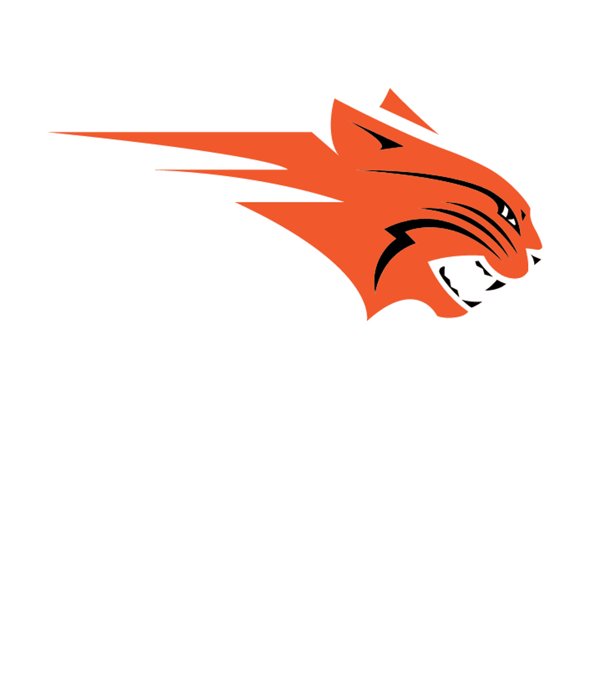 Beecher City Jr-Sr High School Logo
