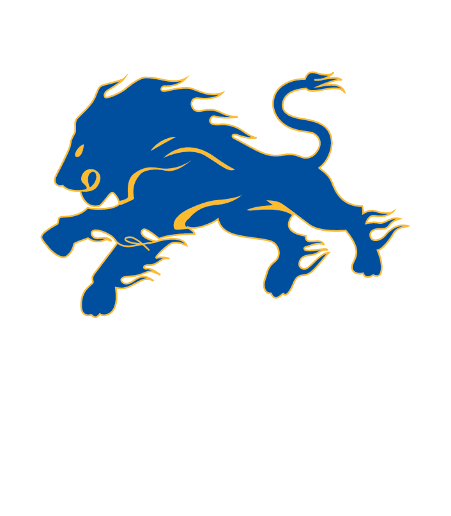 Belfast Area High School Logo
