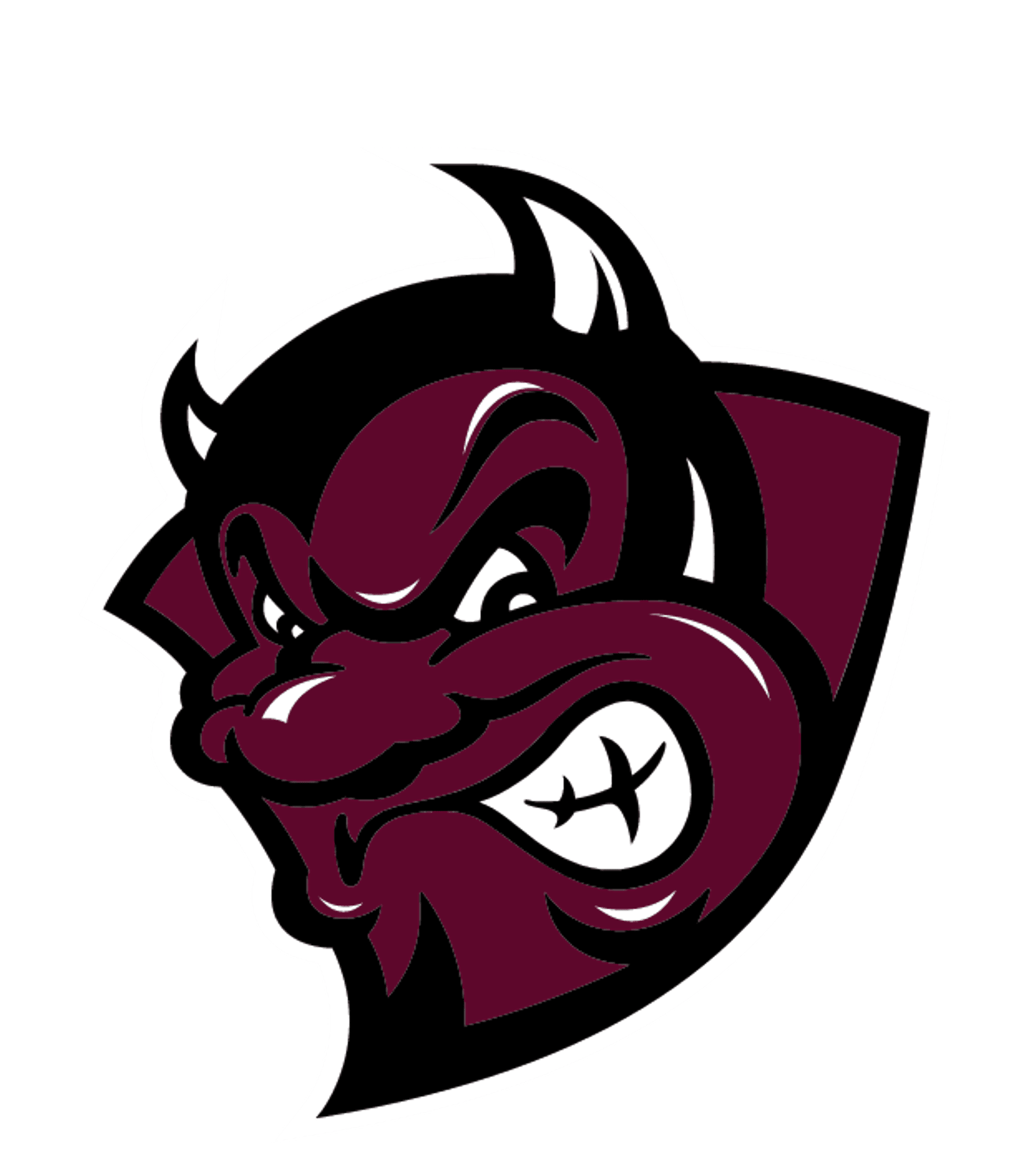 BISMARCK HIGH VIRTUAL ACADEMY Logo