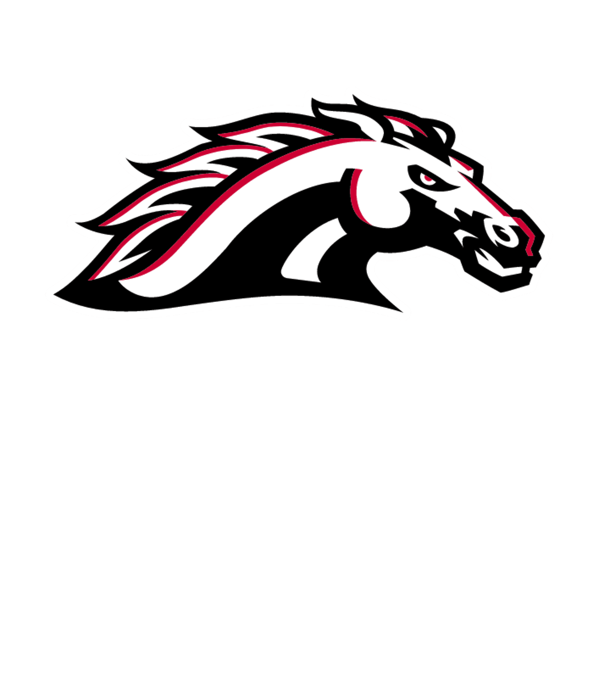 CREEKVIEW H S Logo