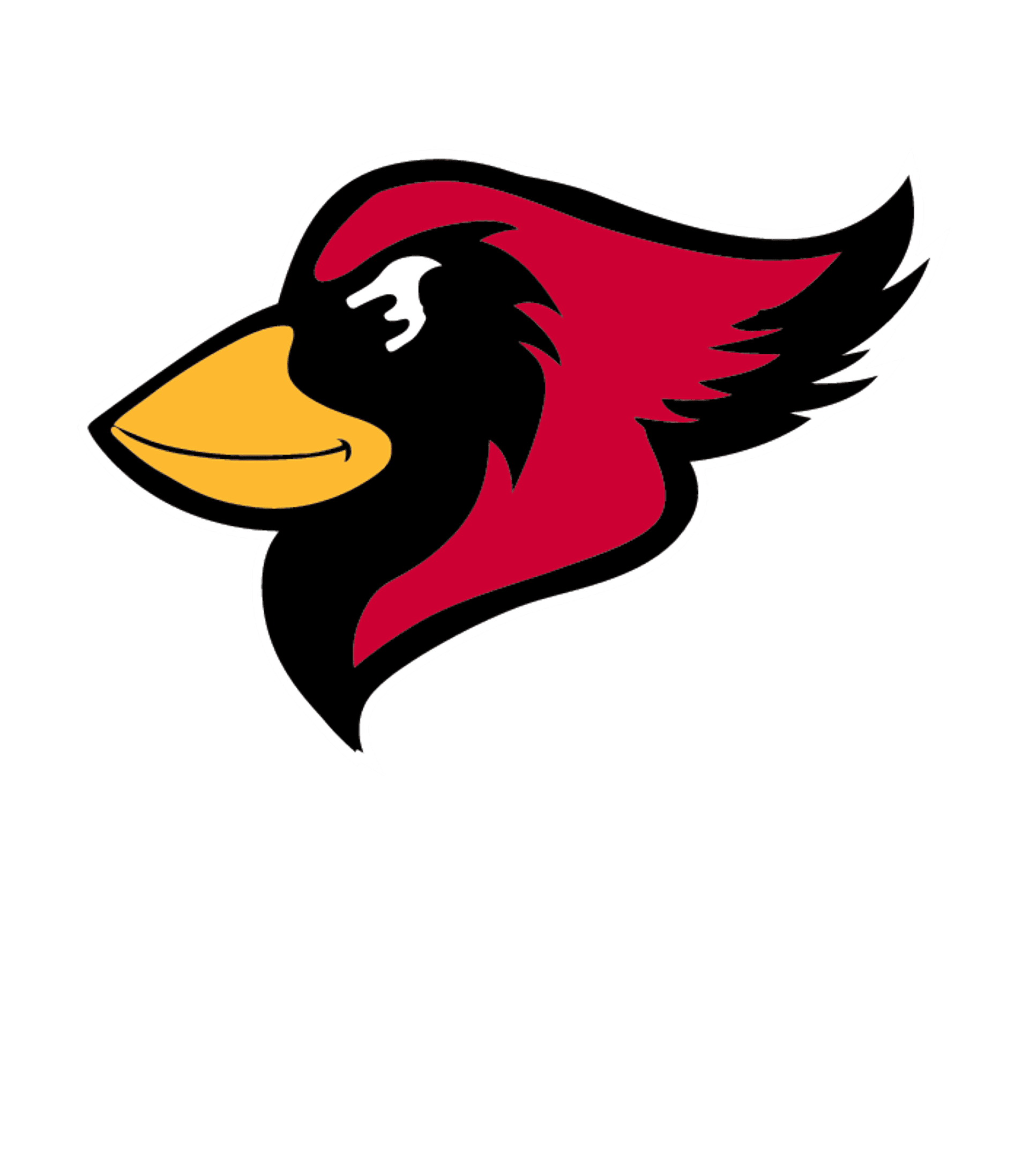 CROMWELL-WRIGHT SECONDARY Logo
