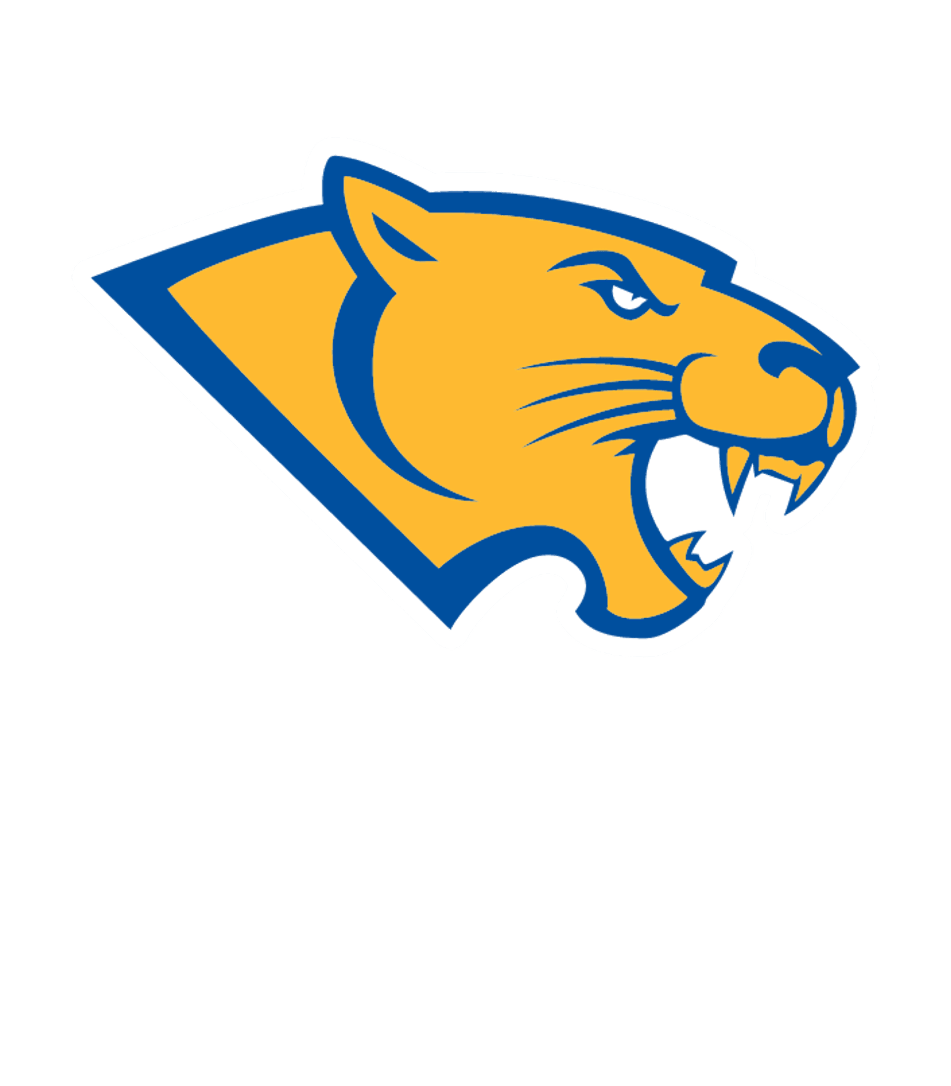 BLANCO H S Logo