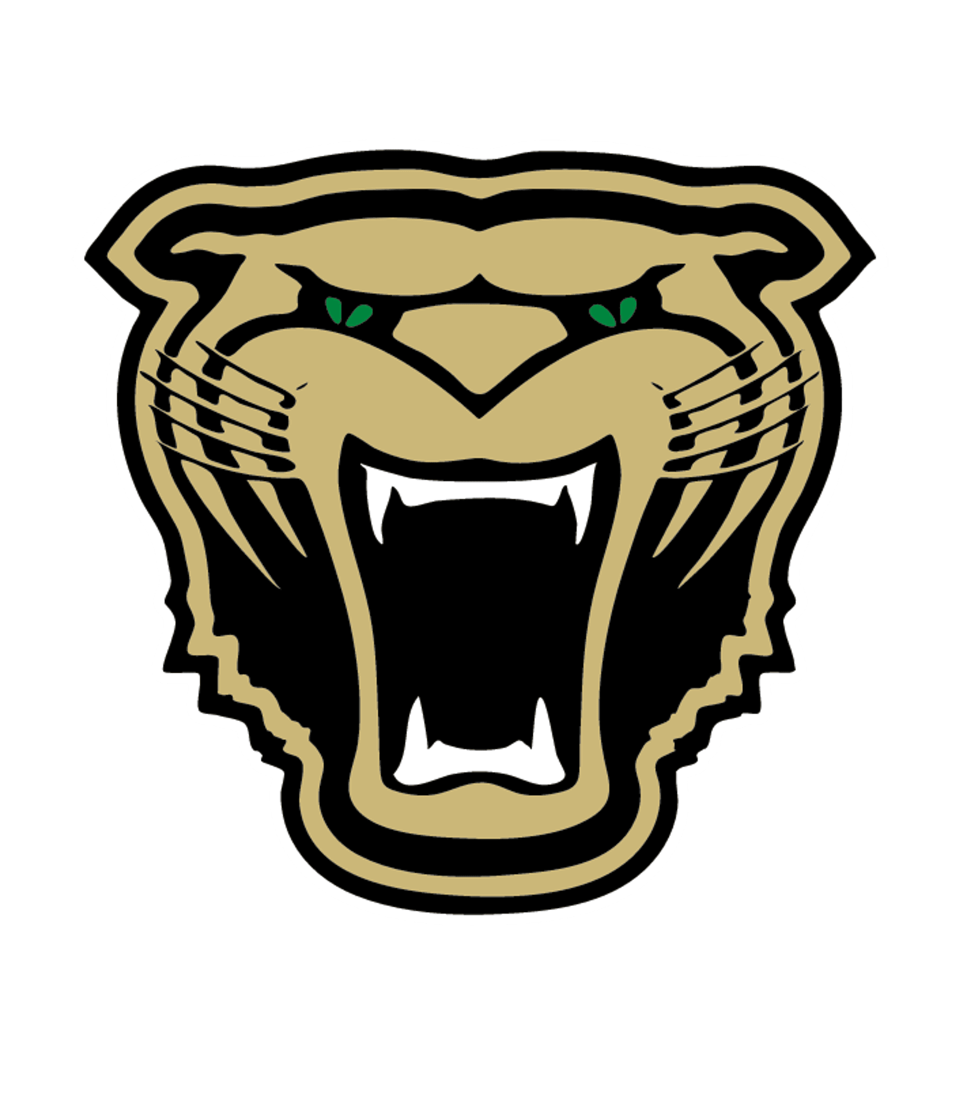 Cullman City Career Tech Logo