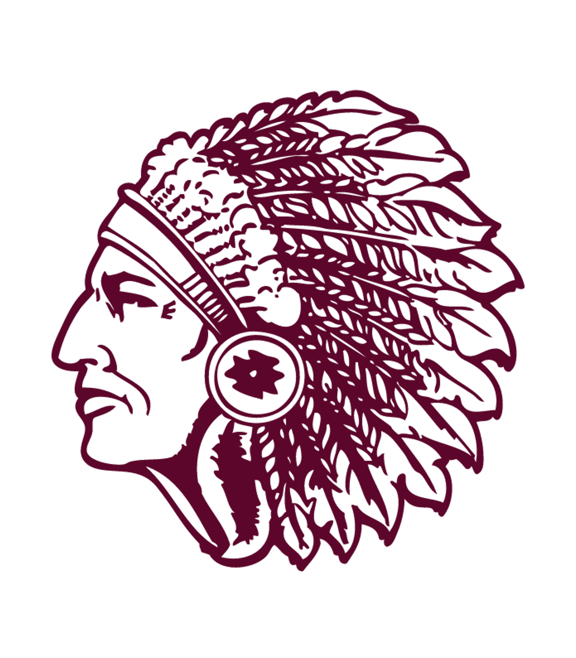 BISMARCK R-V HIGH Logo