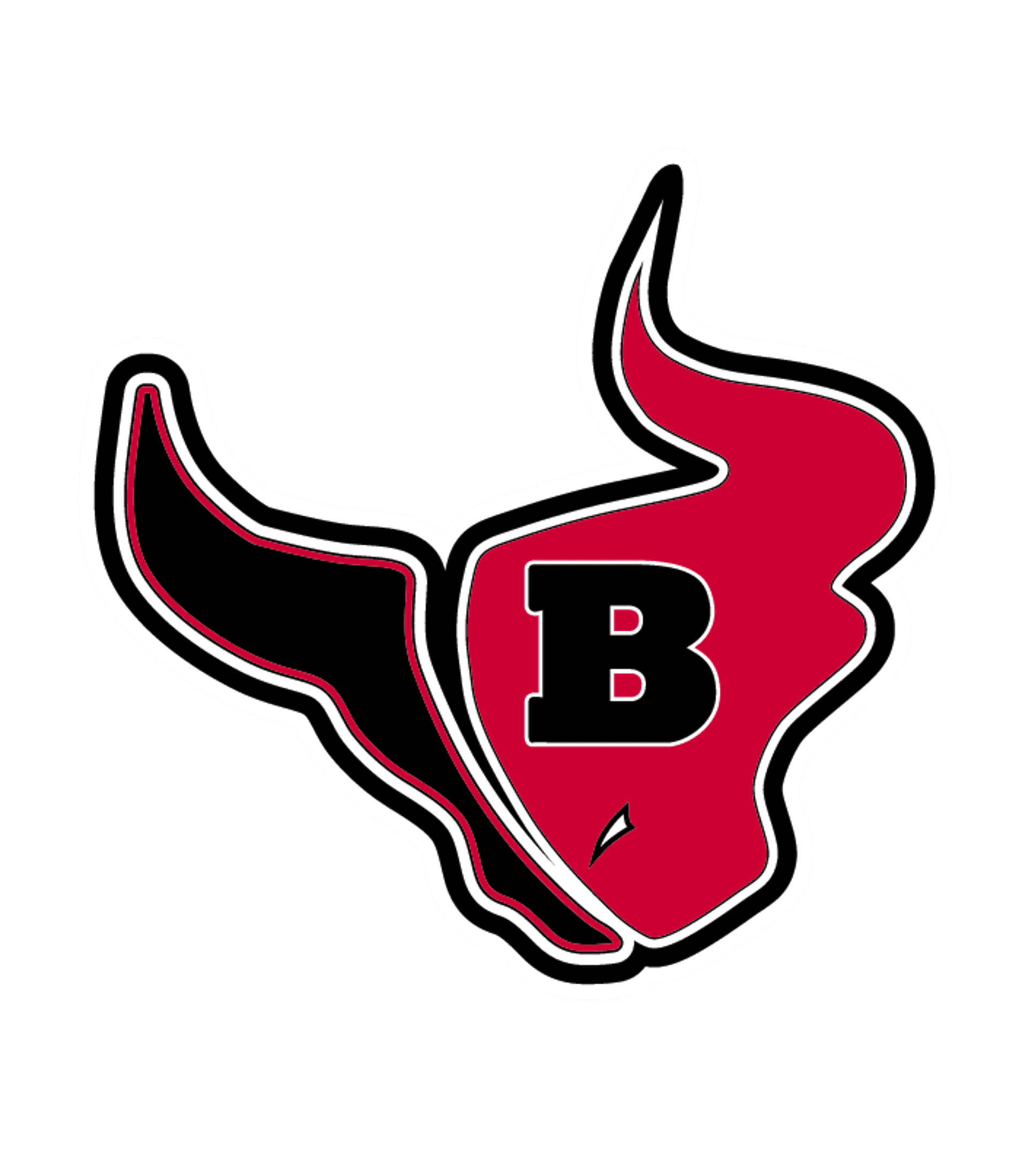 BLOOMINGDALE HIGH SCHOOL Logo