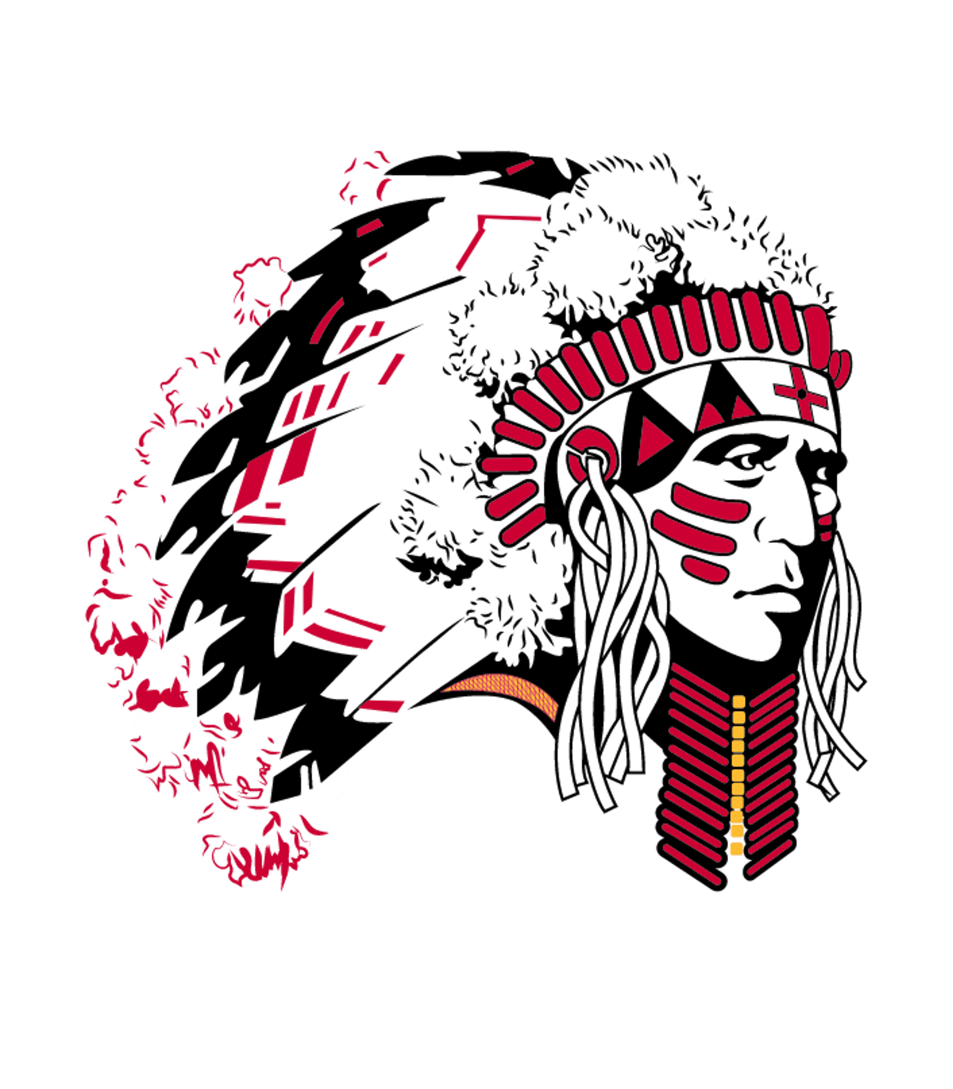 Danville Community High School Logo