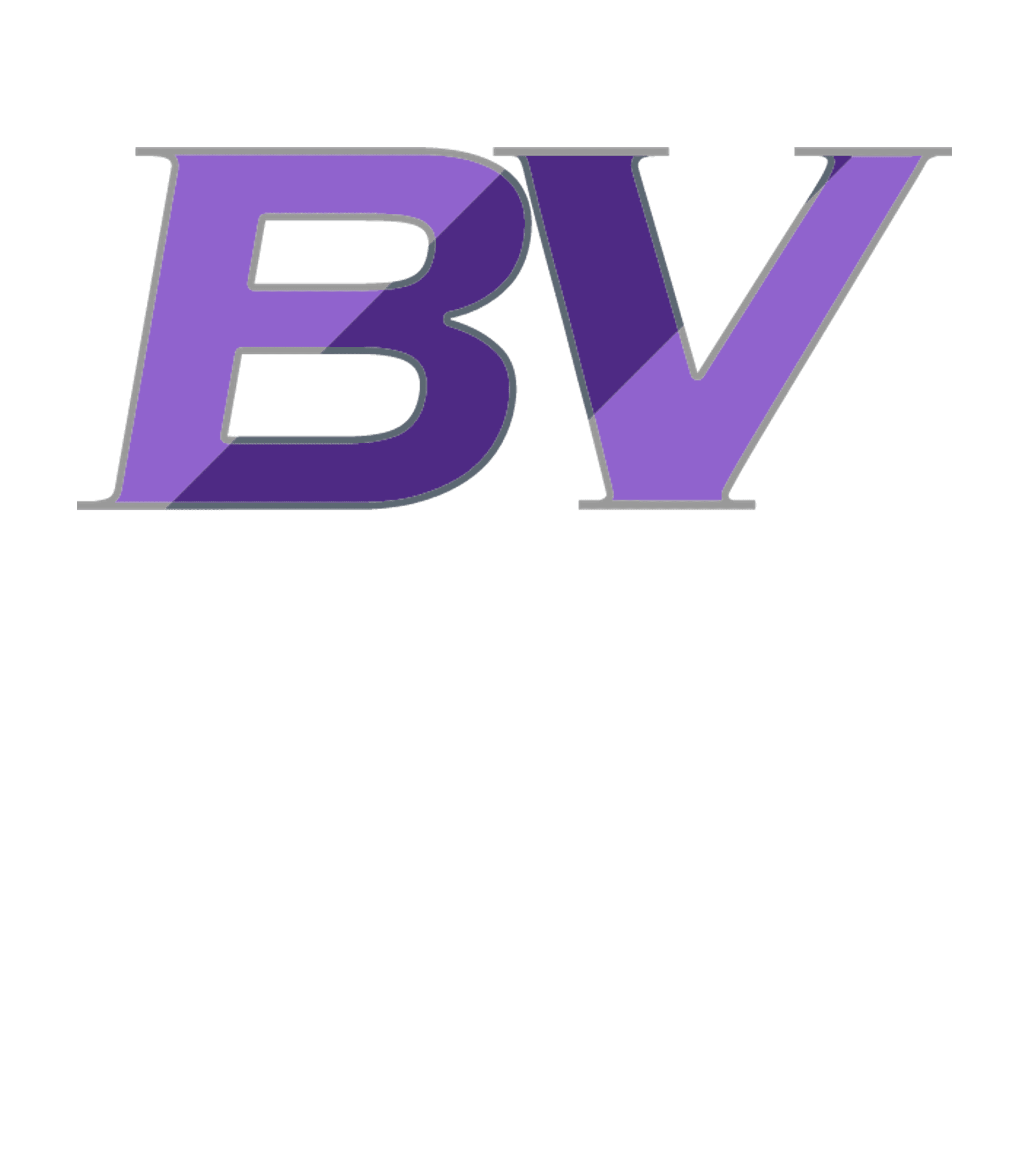 Boyer Valley Middle/High School Logo