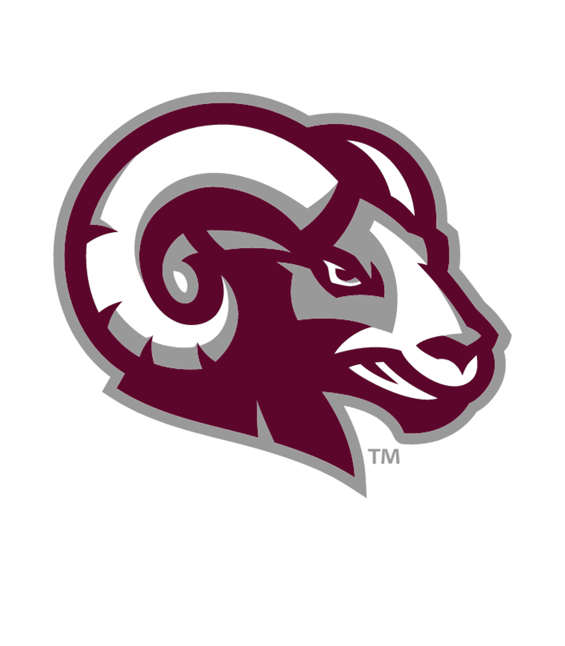 Bristol Arts and Innovation Magnet School Logo