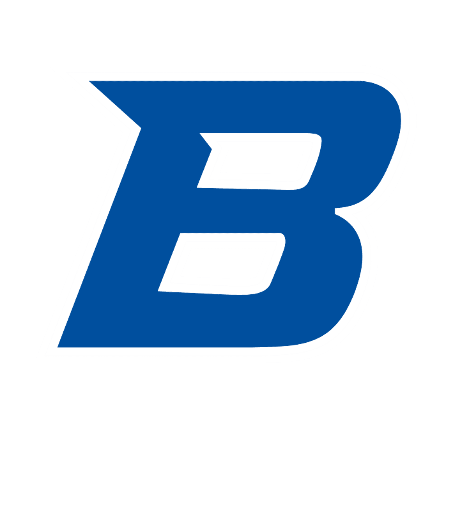 BROOKFIELD HIGH Logo