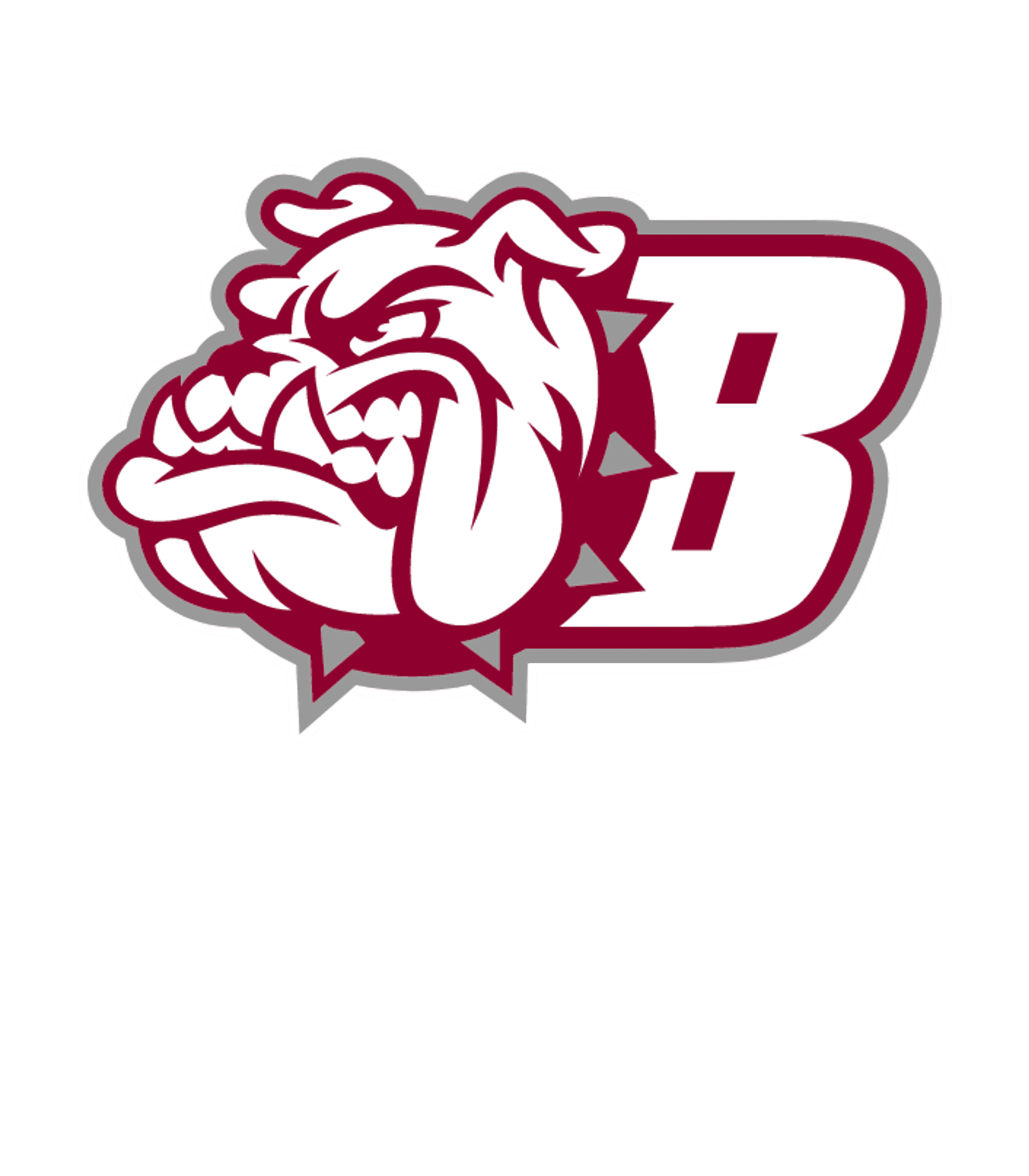 Brewster High Logo