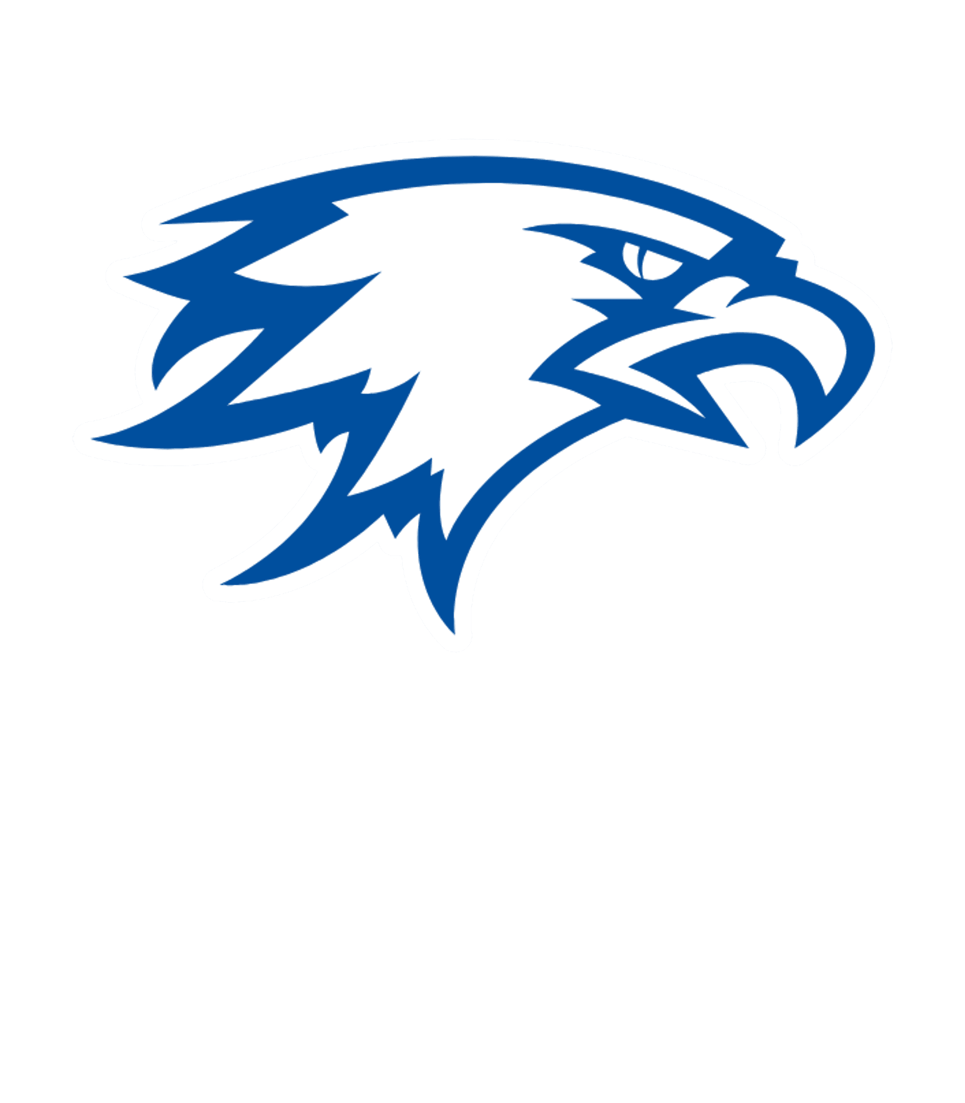 BRADLEYVILLE HIGH Logo
