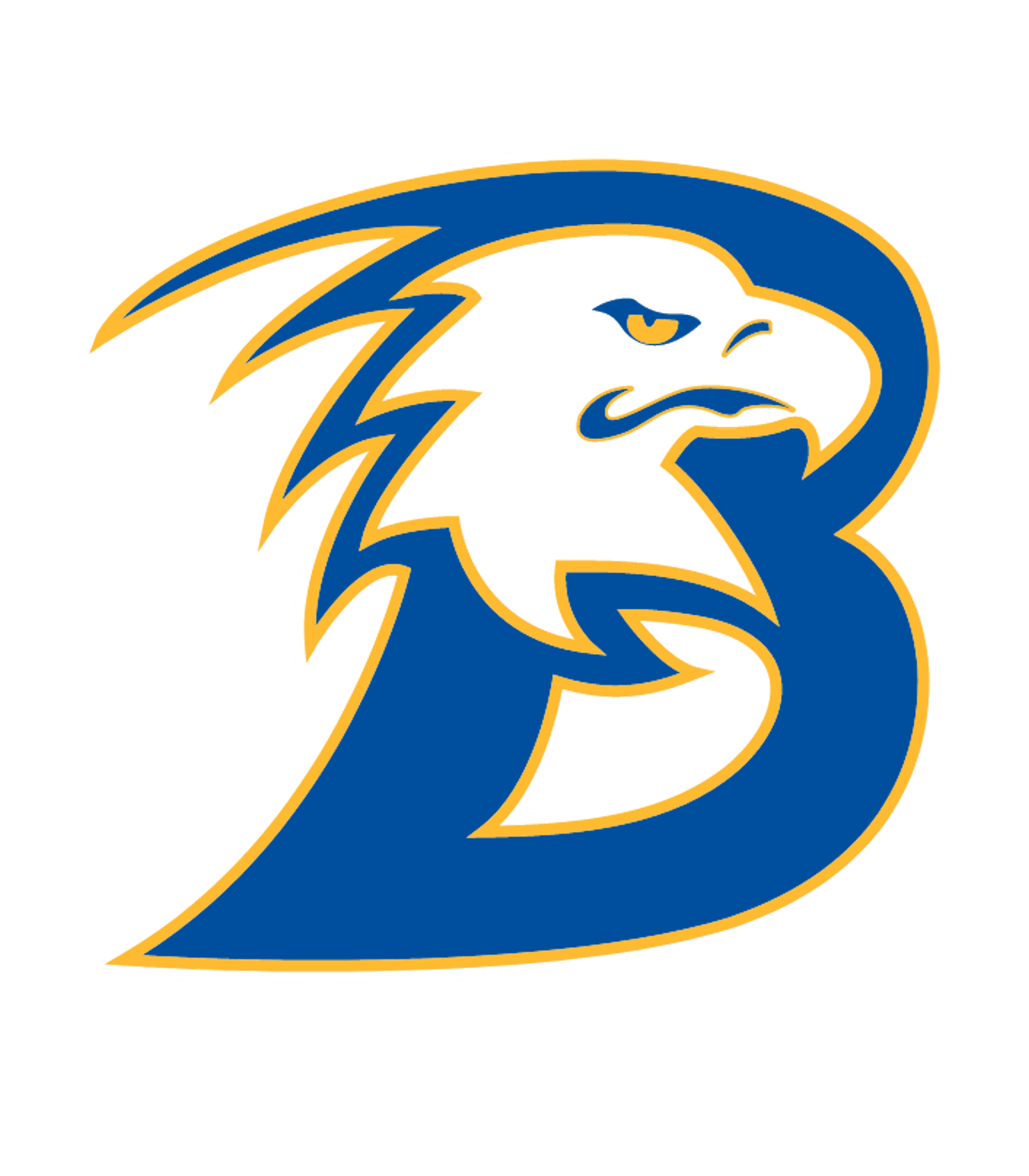 BROCK H S Logo