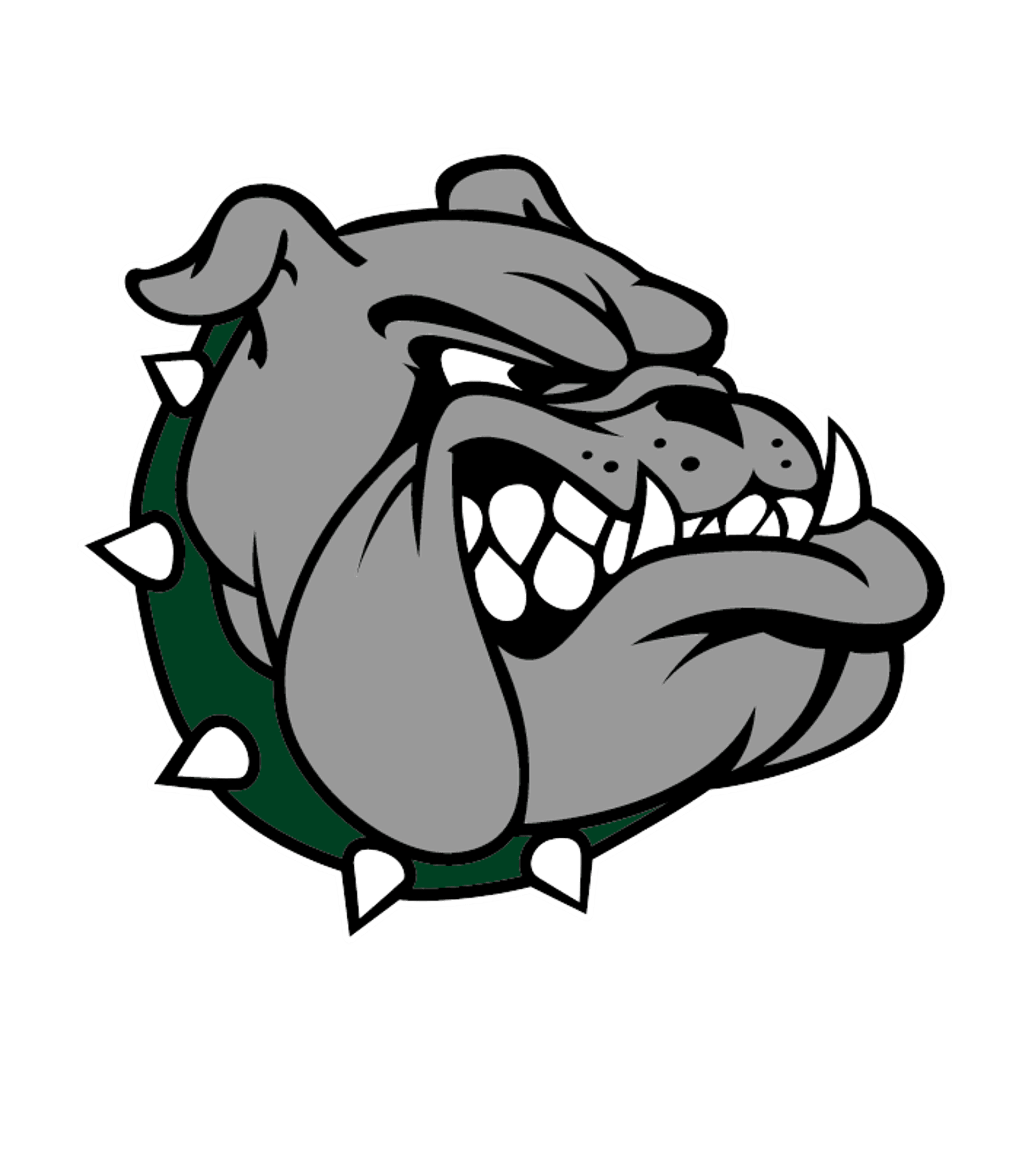 BROCTON MIDDLE HIGH SCHOOL Logo