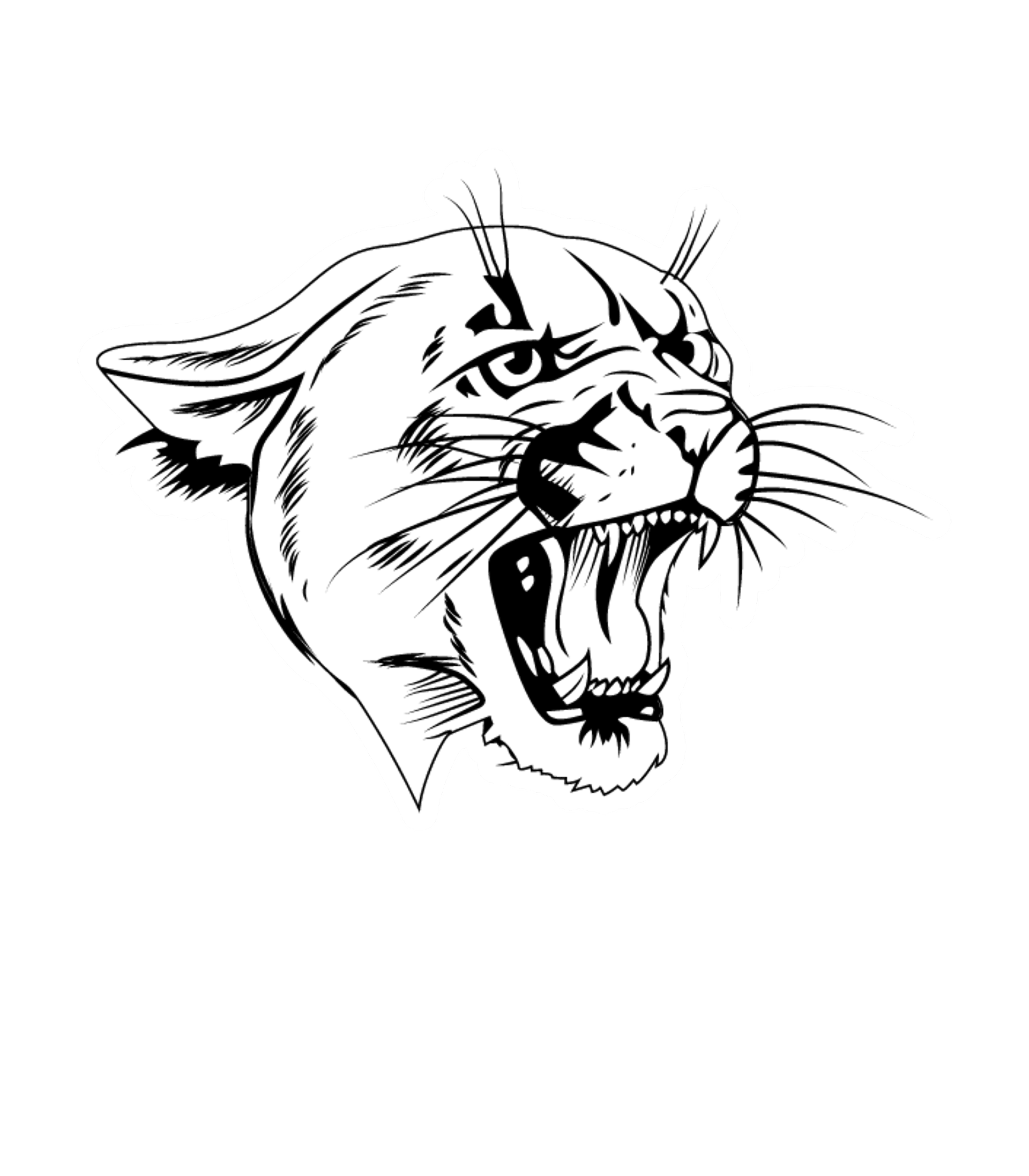 BRUSHTON-MOIRA HIGH SCHOOL Logo