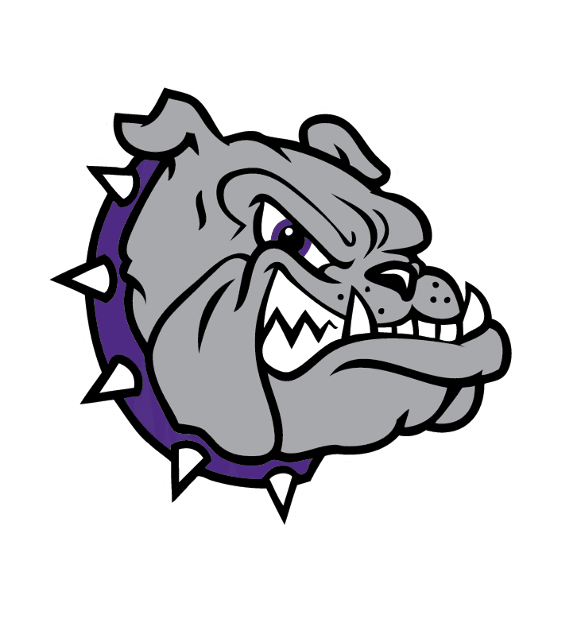 Brownsburg High School Logo