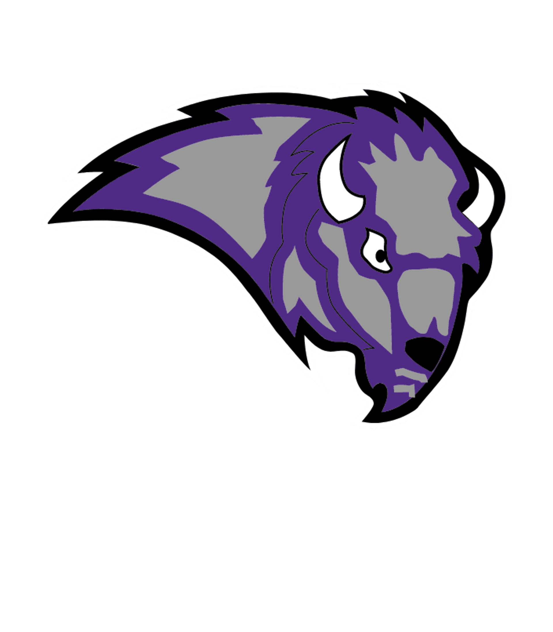 BUFFALO SENIOR HIGH Logo