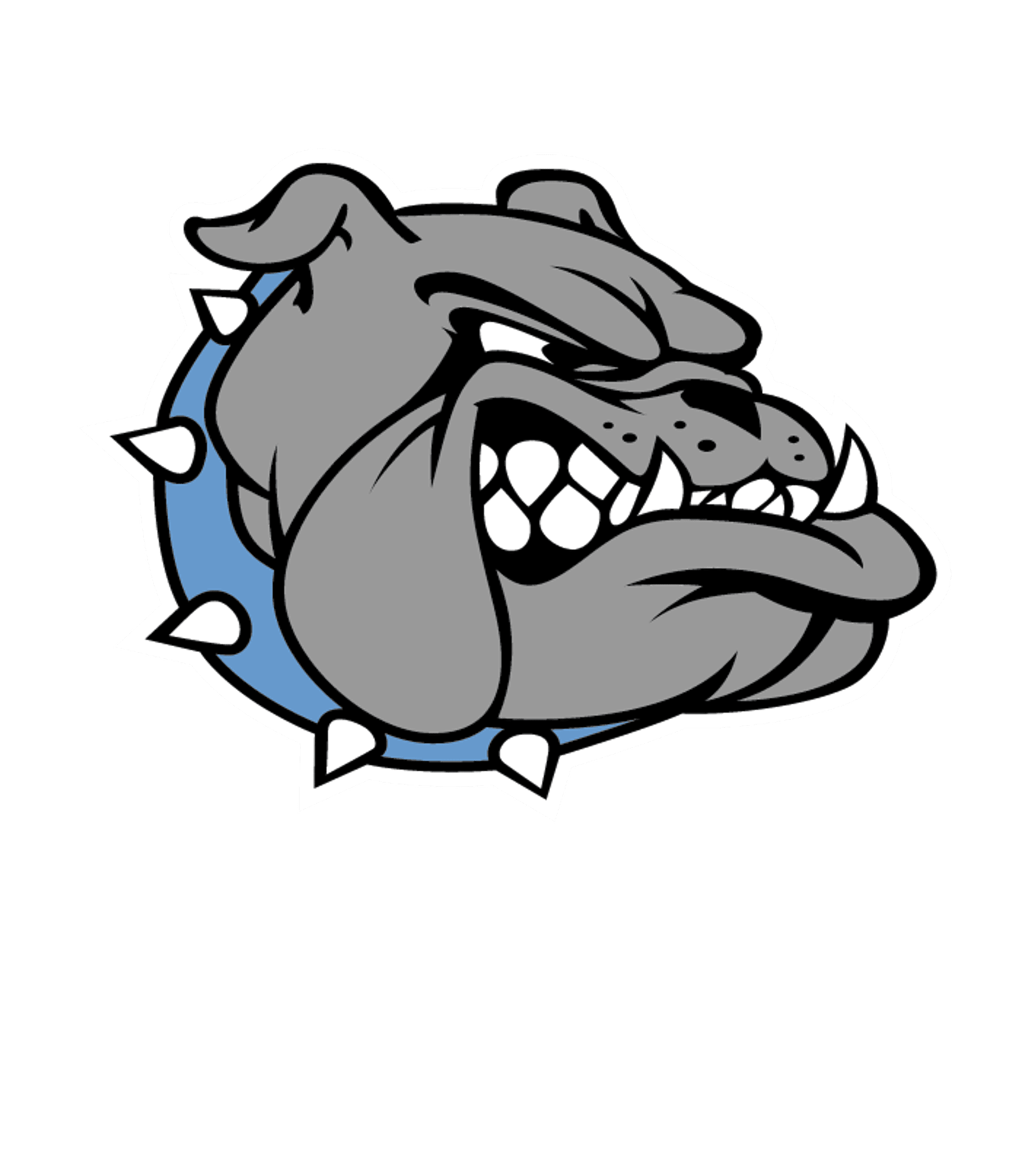Burns High Logo