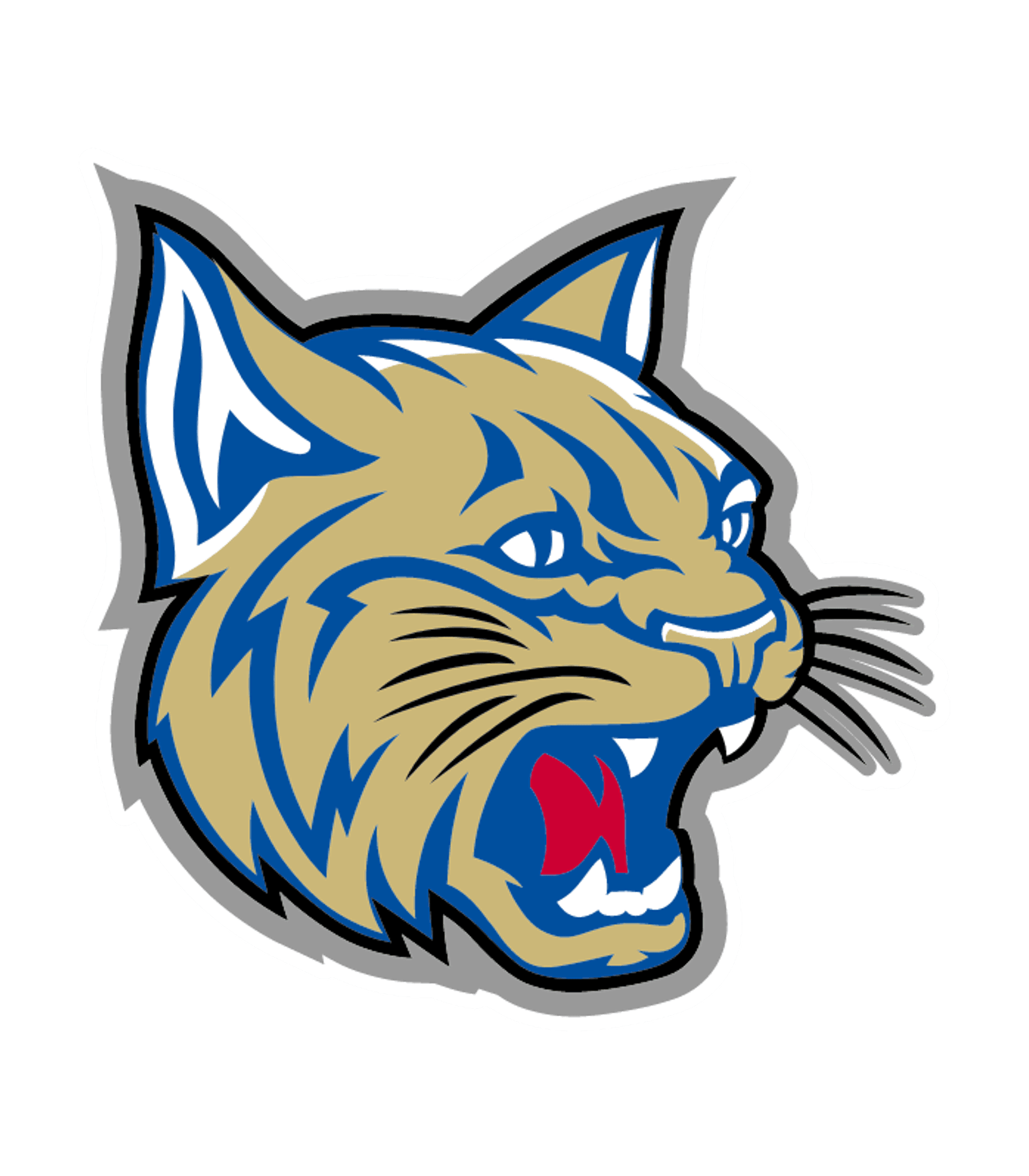 EDINBURG H S Logo