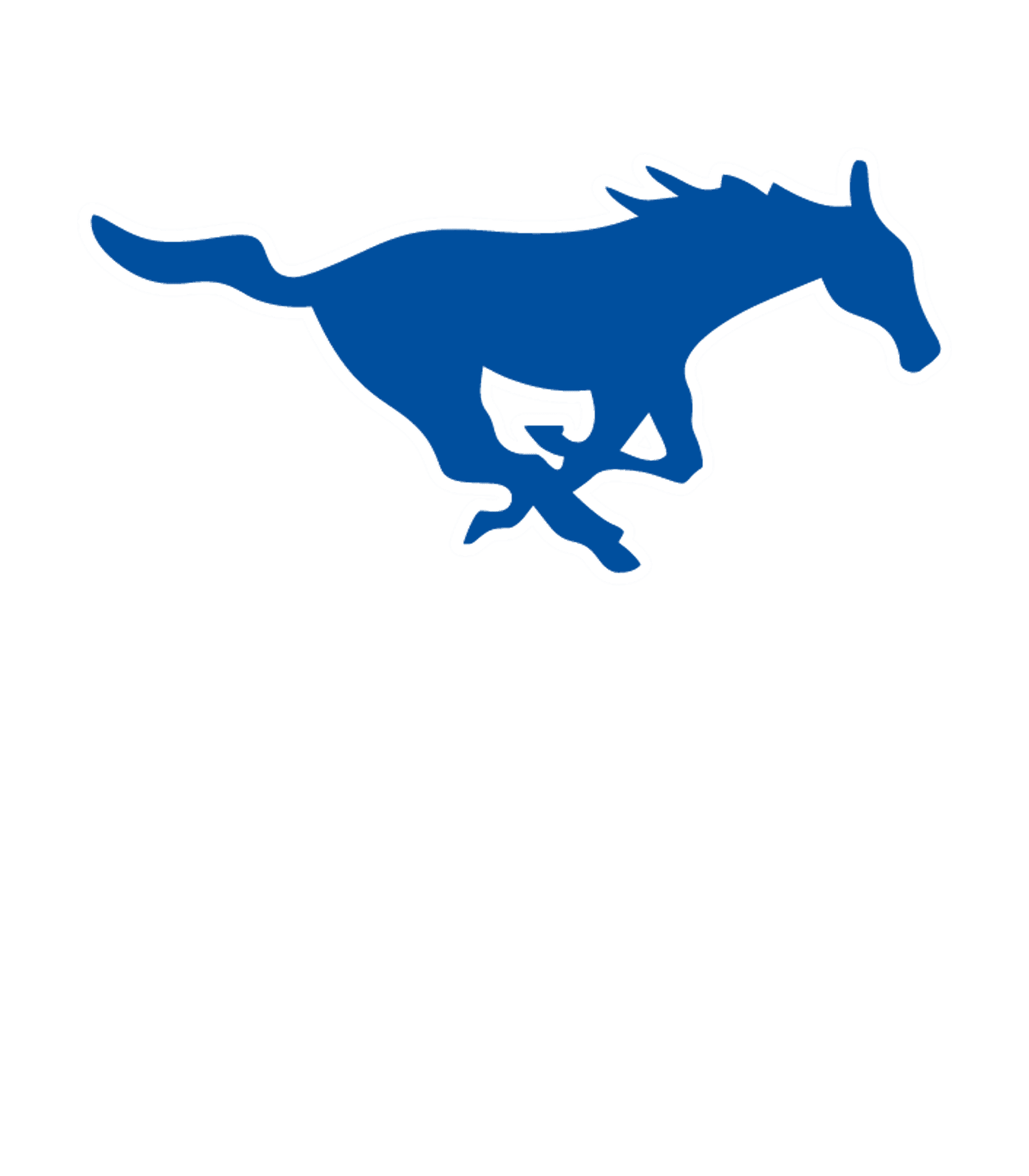 FRIENDSWOOD H S Logo