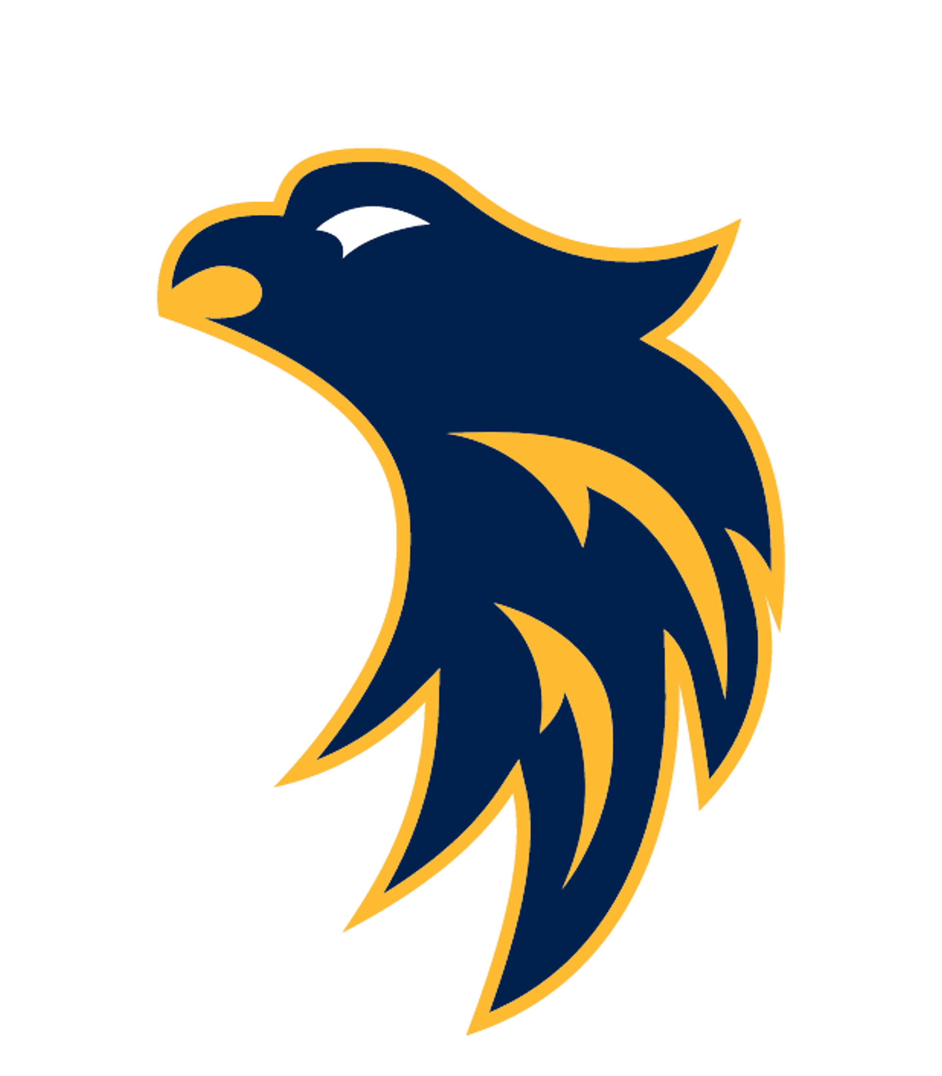 FRISCO H S Logo