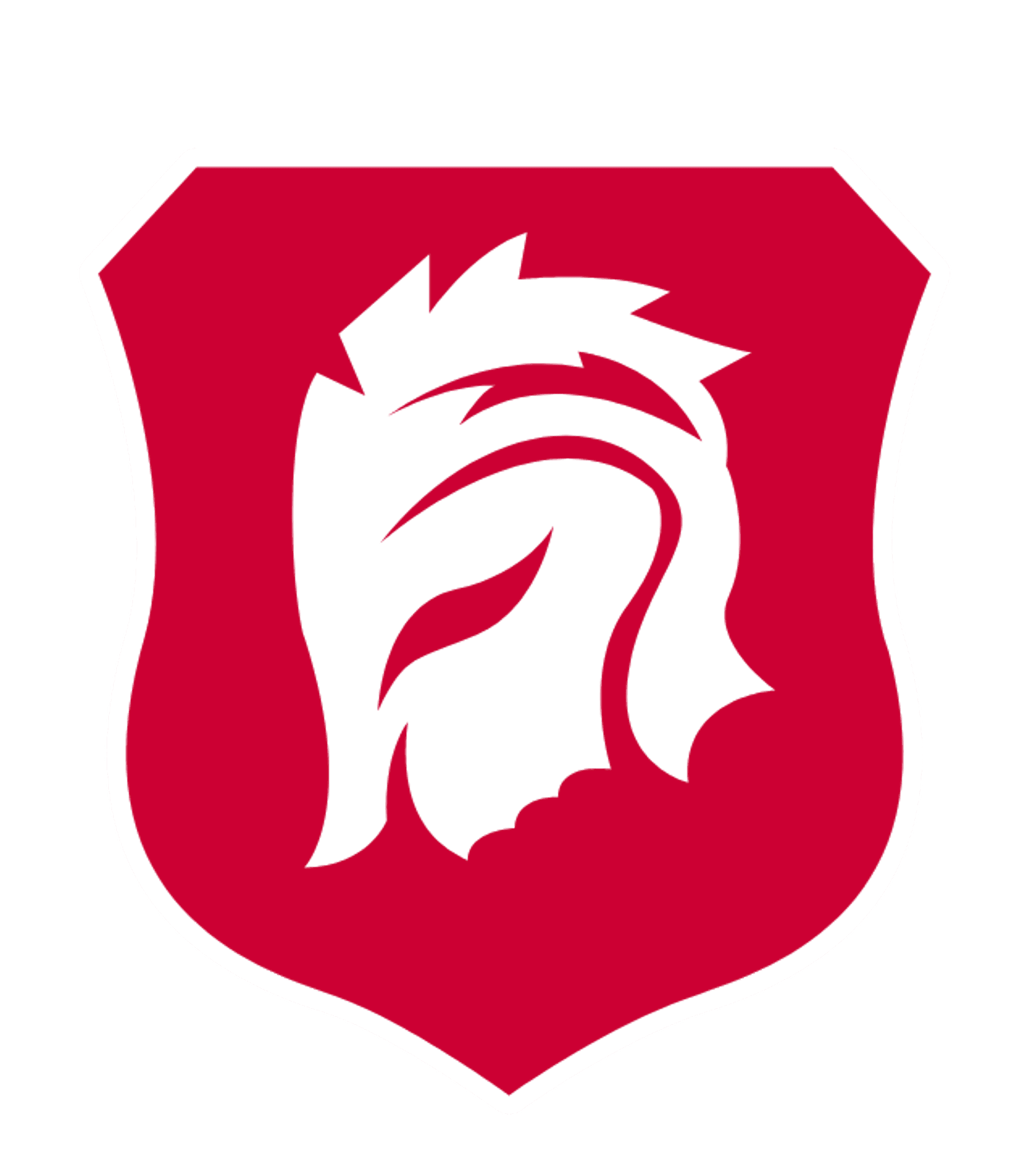 AZLE HORNET ACADEMY Logo