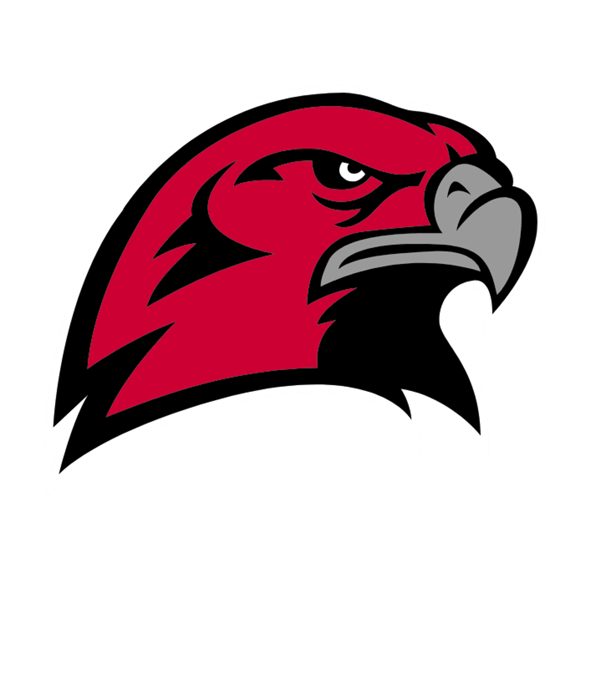 Hamburg Area HS Logo