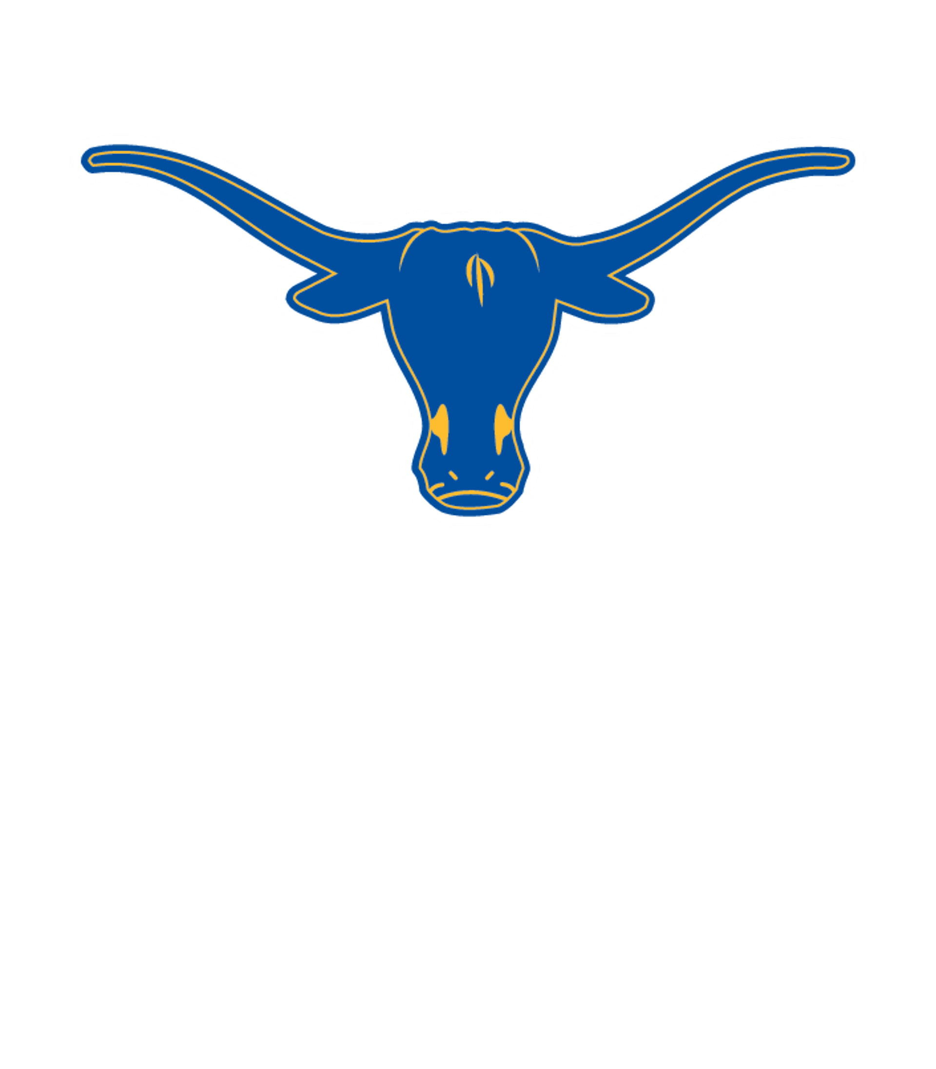 Lone Star Undivided High School Logo