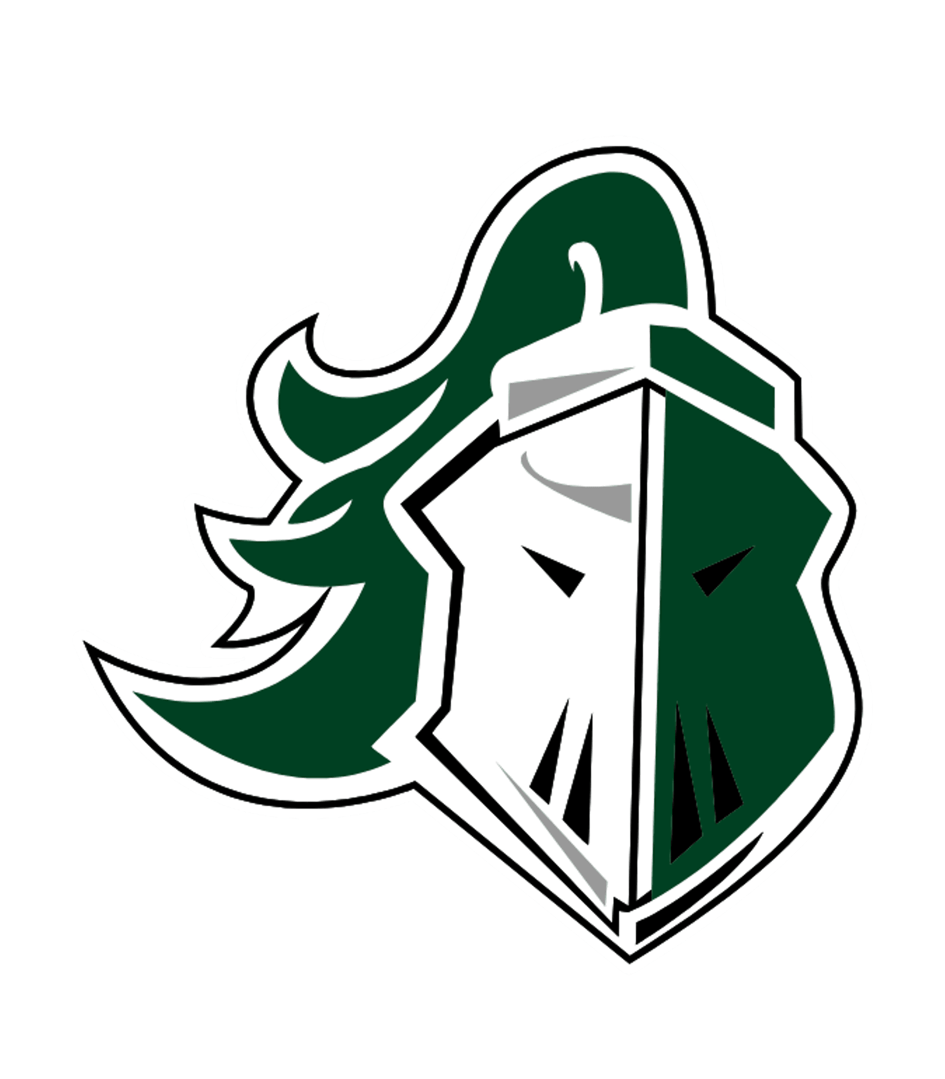 HAMILTON JUNIOR-SENIOR HIGH SCHOOL Logo
