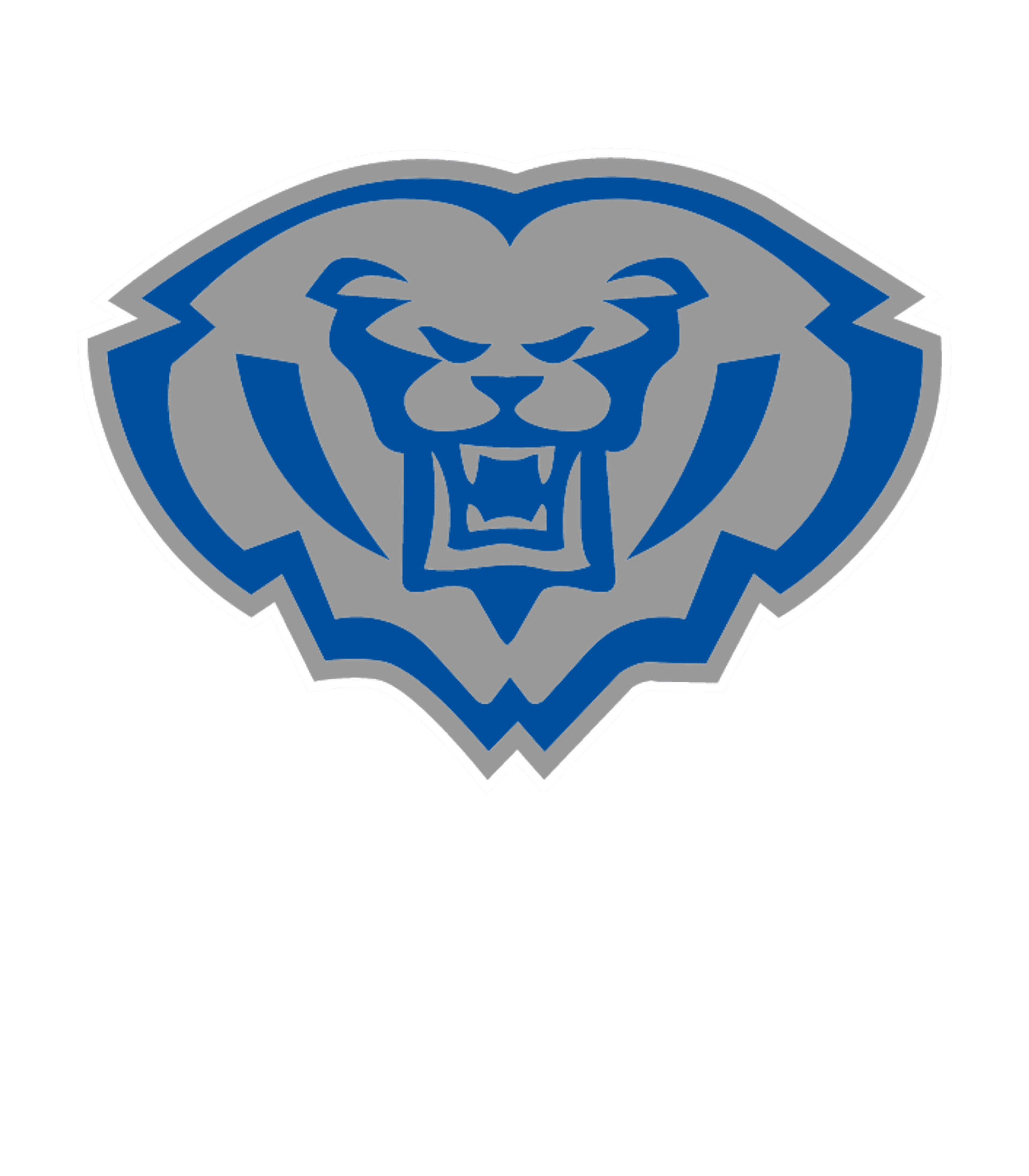 Hamilton Southeastern HS Logo