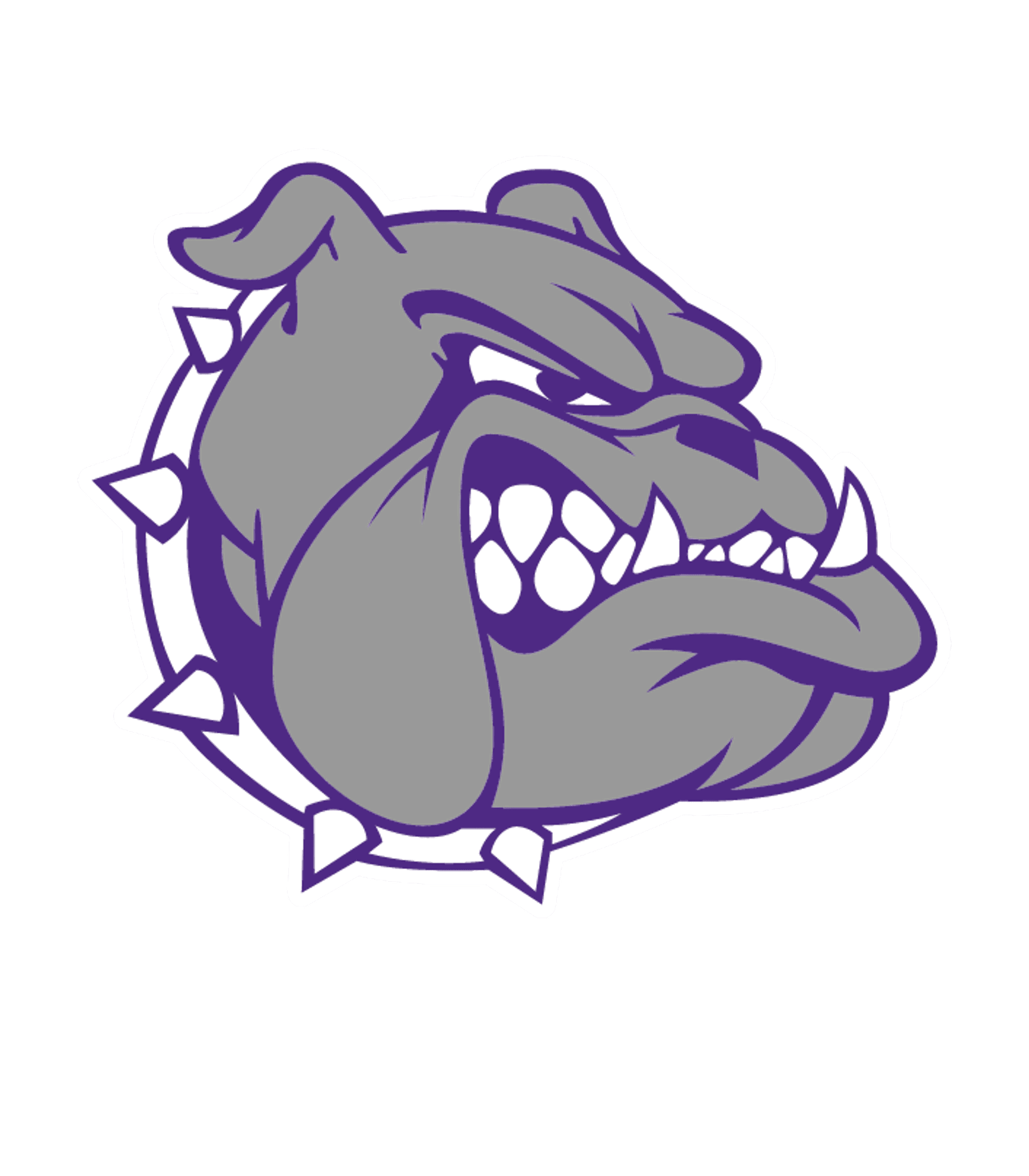 HAMBURG HIGH SCHOOL Logo