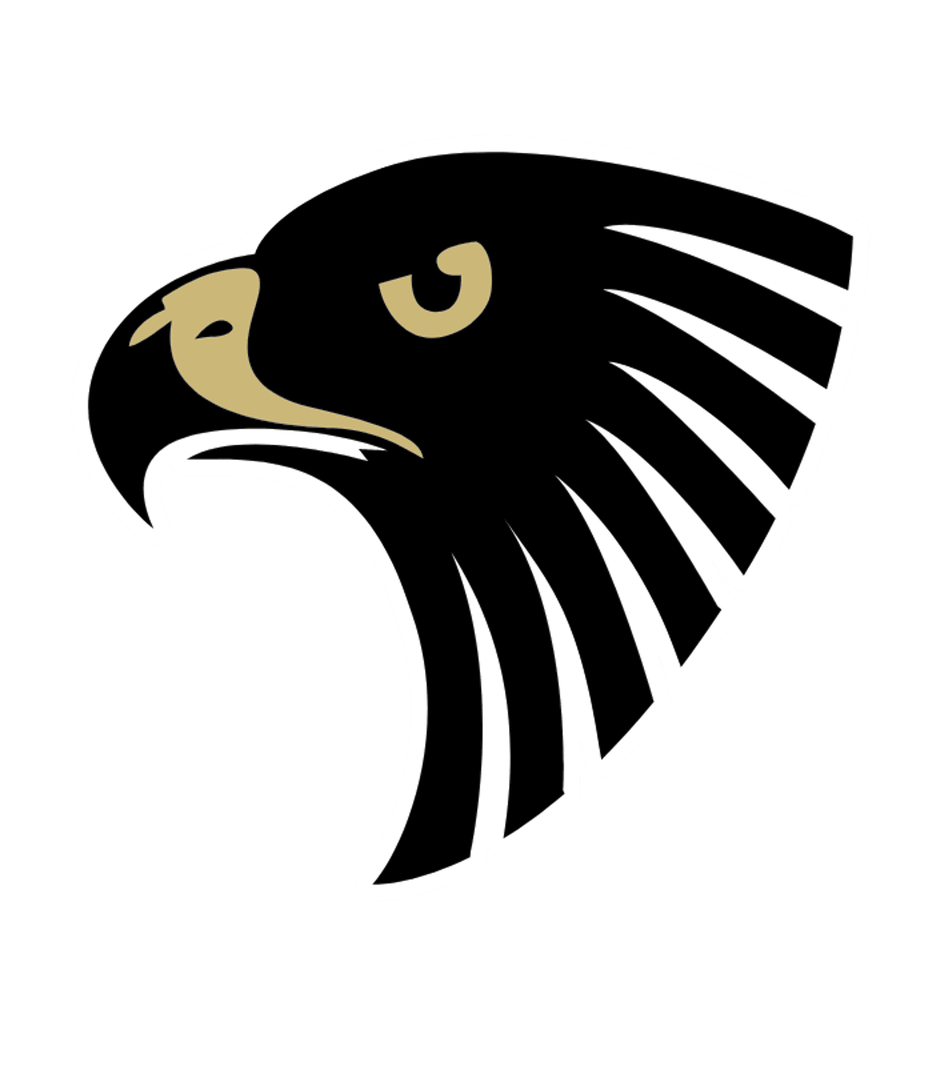Hammond Academy of Science & Tech Logo
