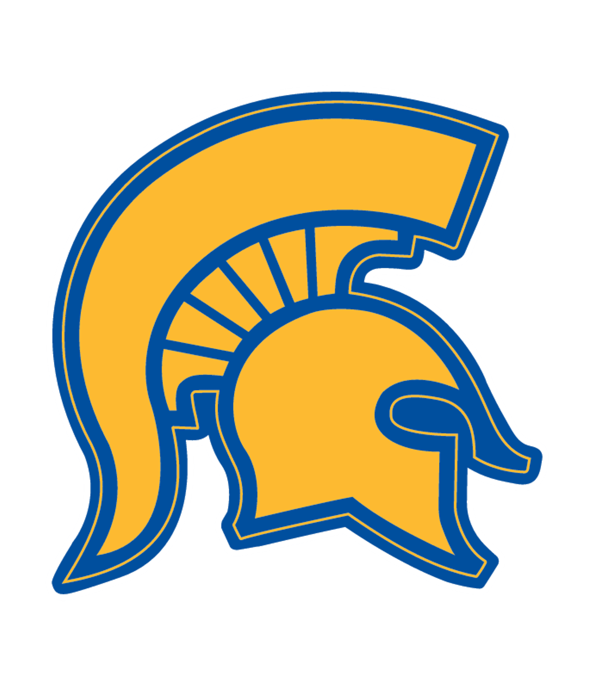 Mason County Central HS Logo