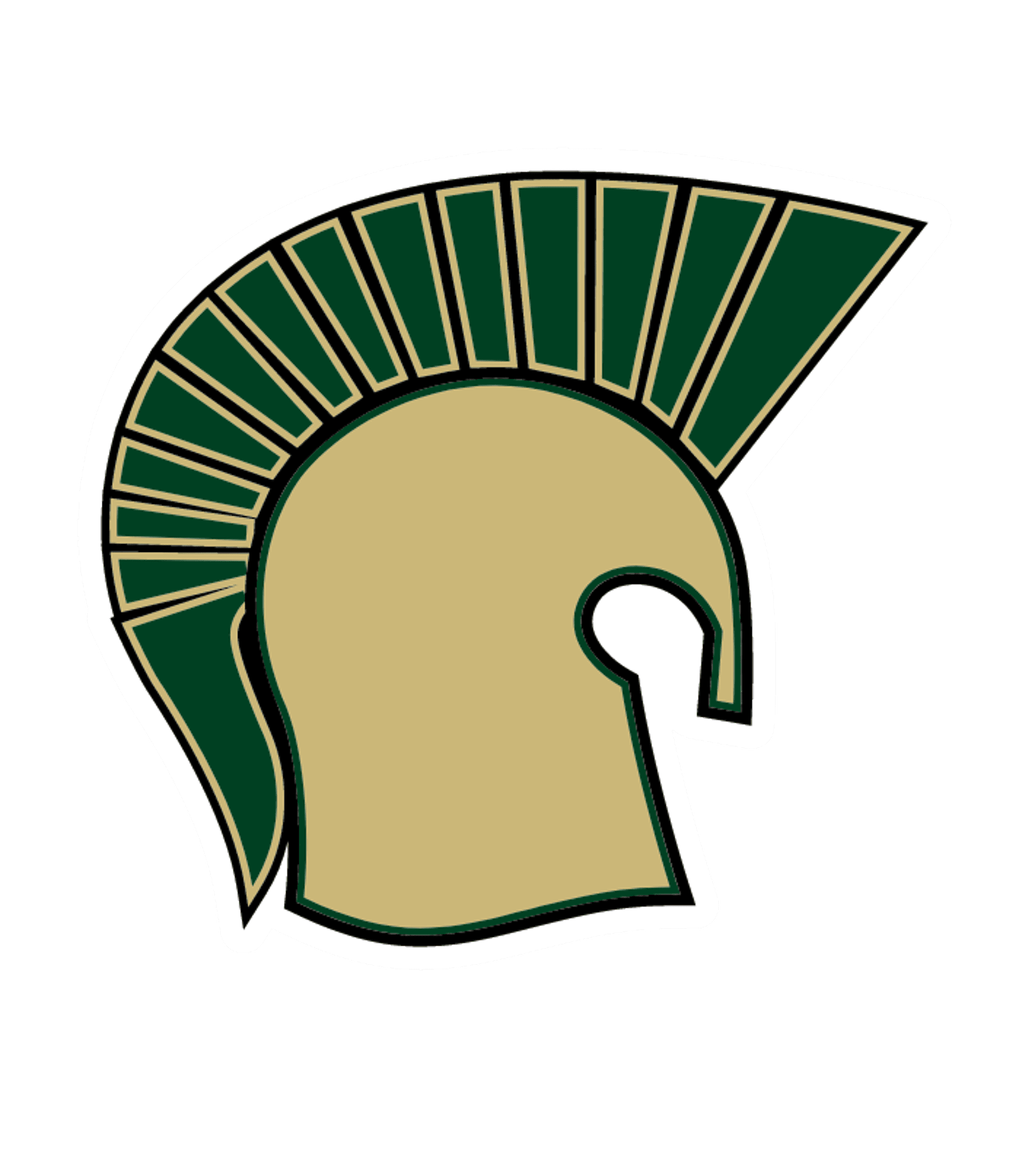 Mayo Senior High Logo