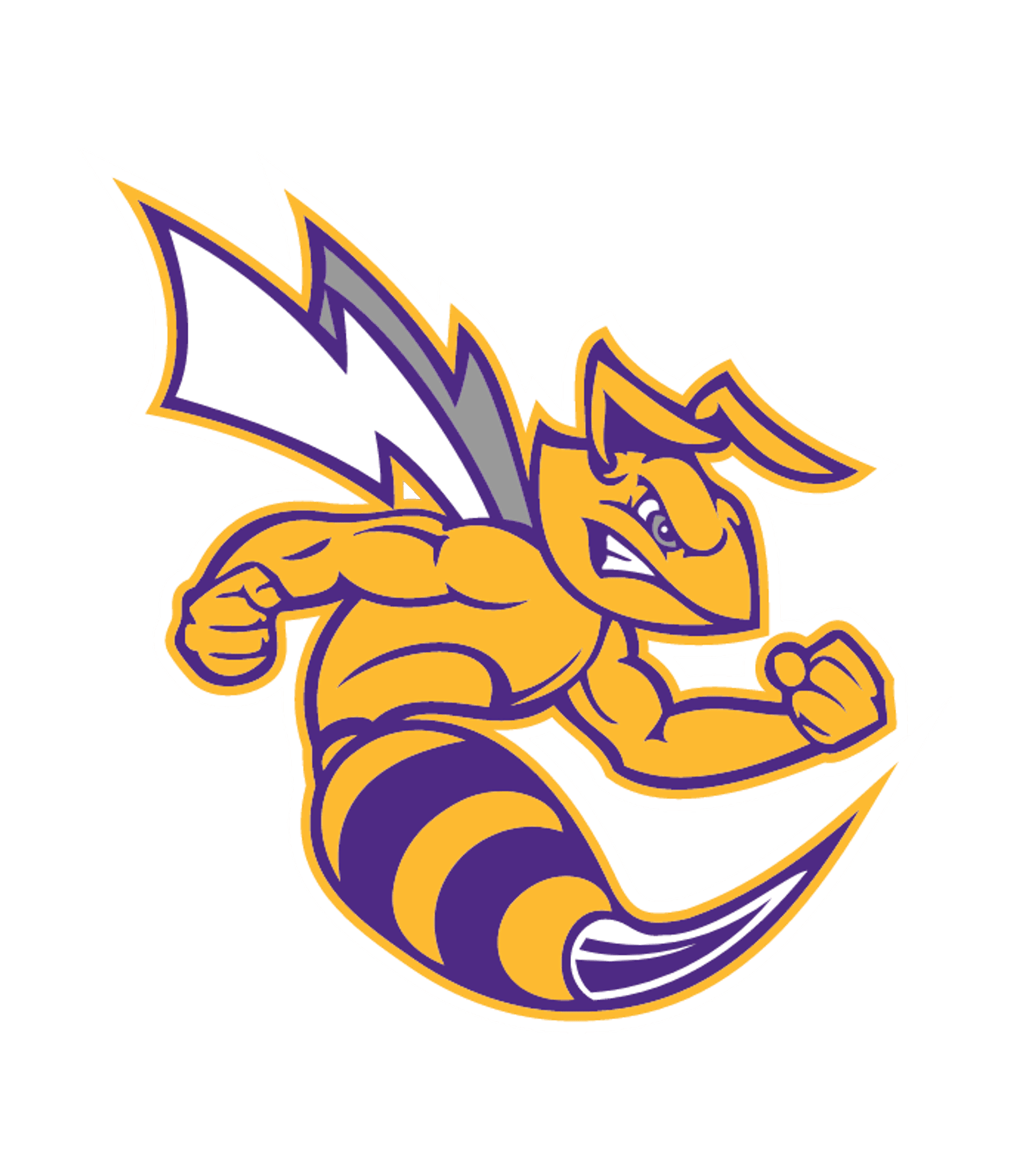 Angola High School Logo