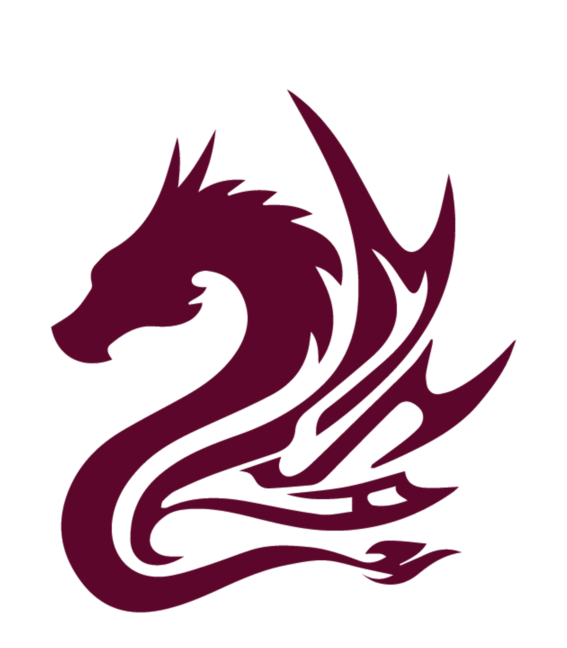 MATH AND SCIENCE ACADEMY Logo