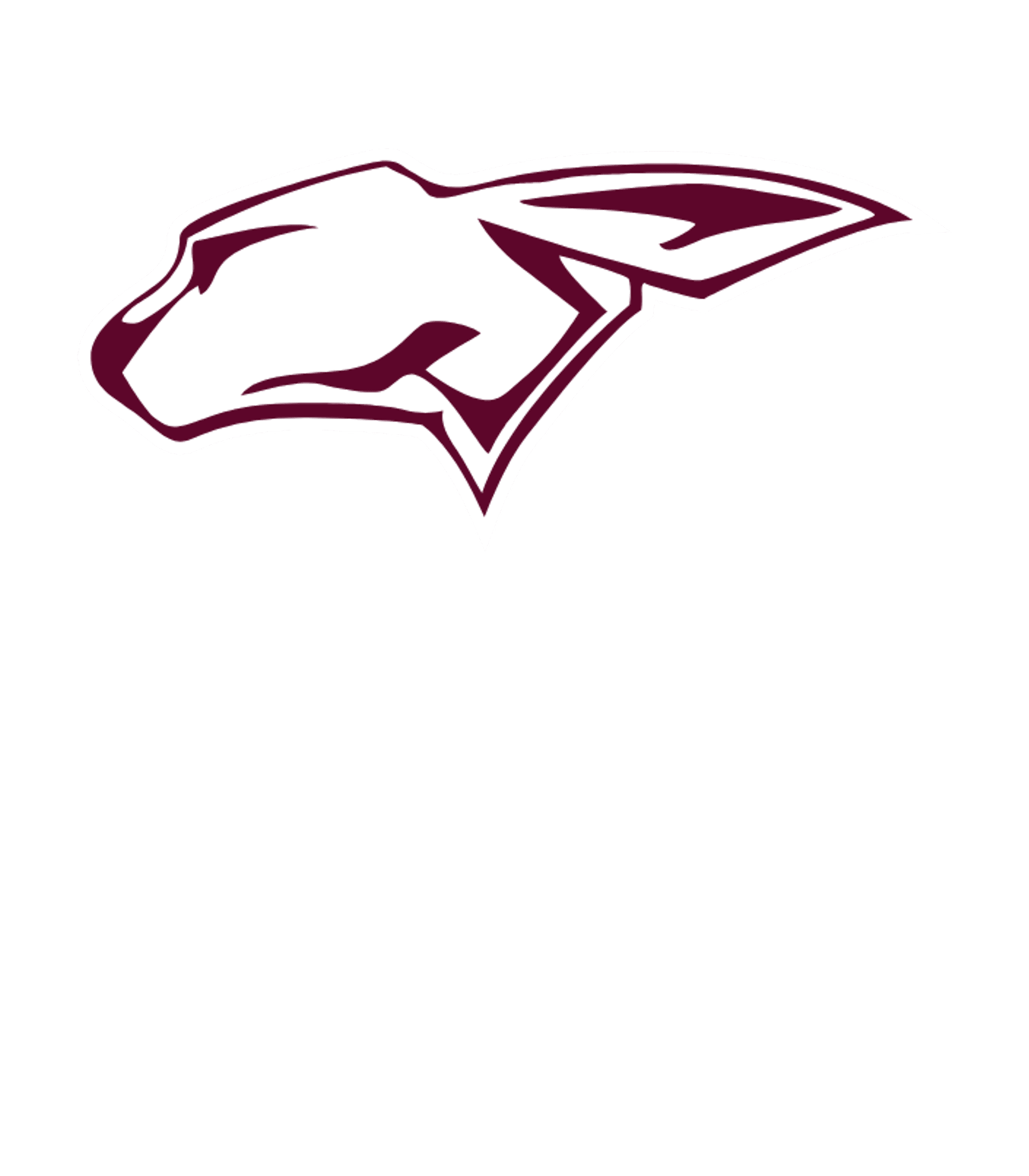 RALLS H S Logo