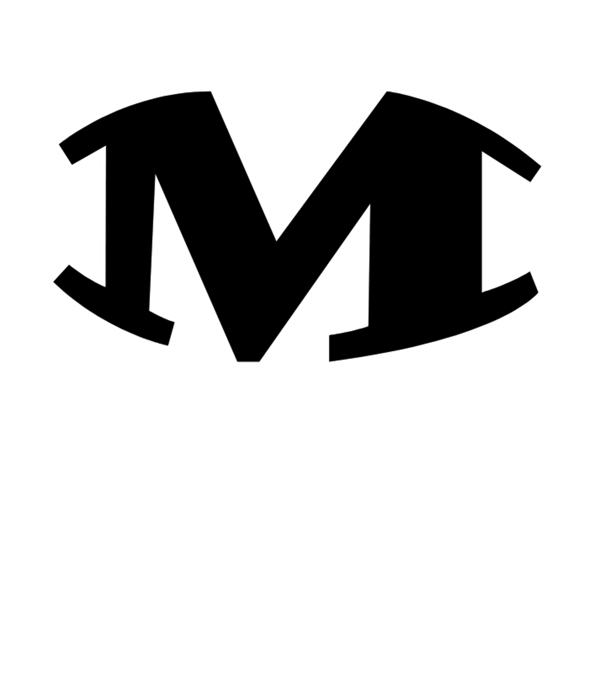 MARTIN H S Logo
