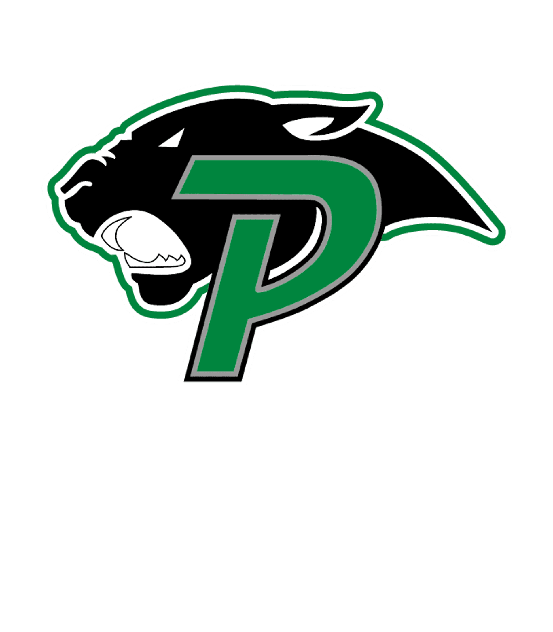 PARADISE H S Logo