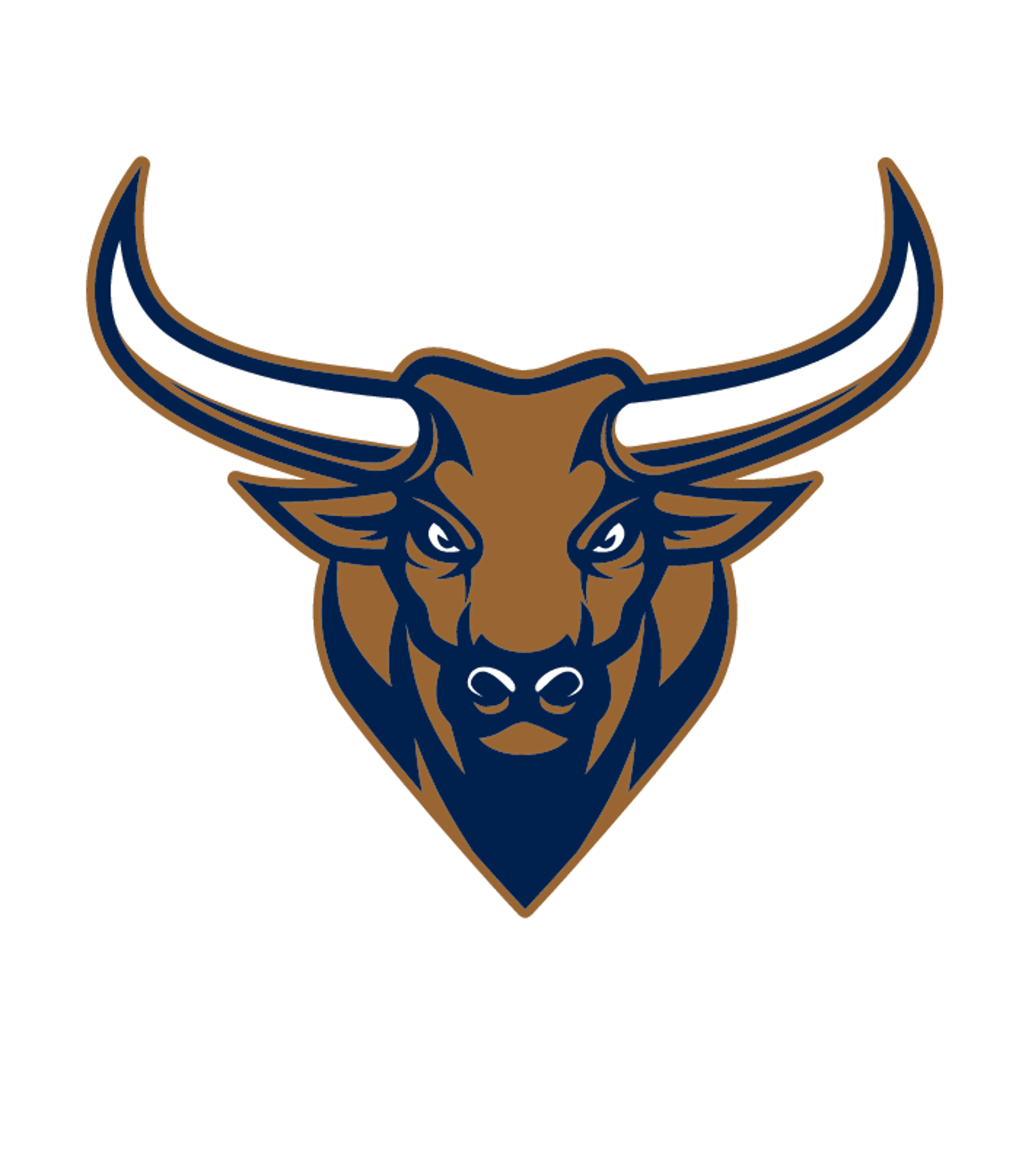 STEDY - Somerton High School Logo