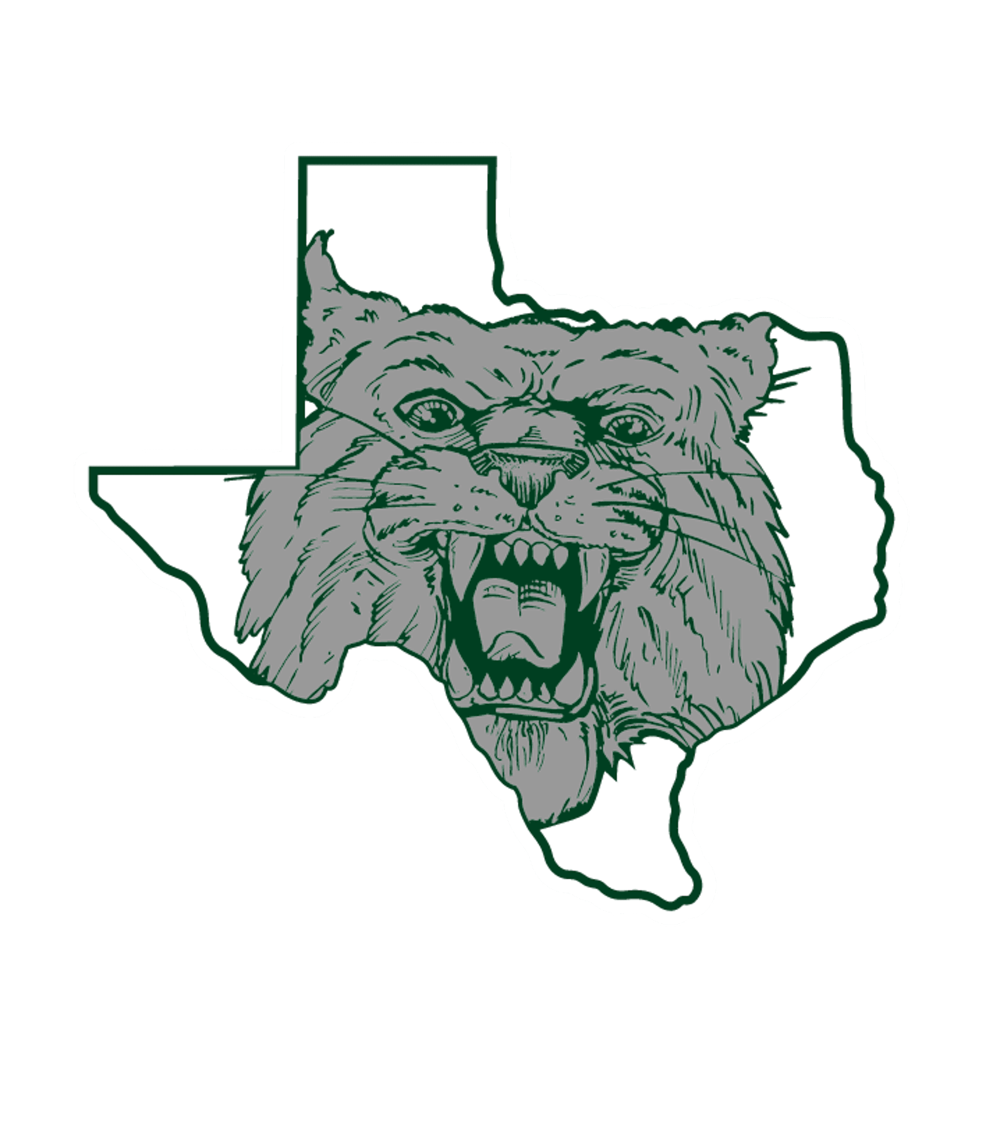 SANTO H S Logo