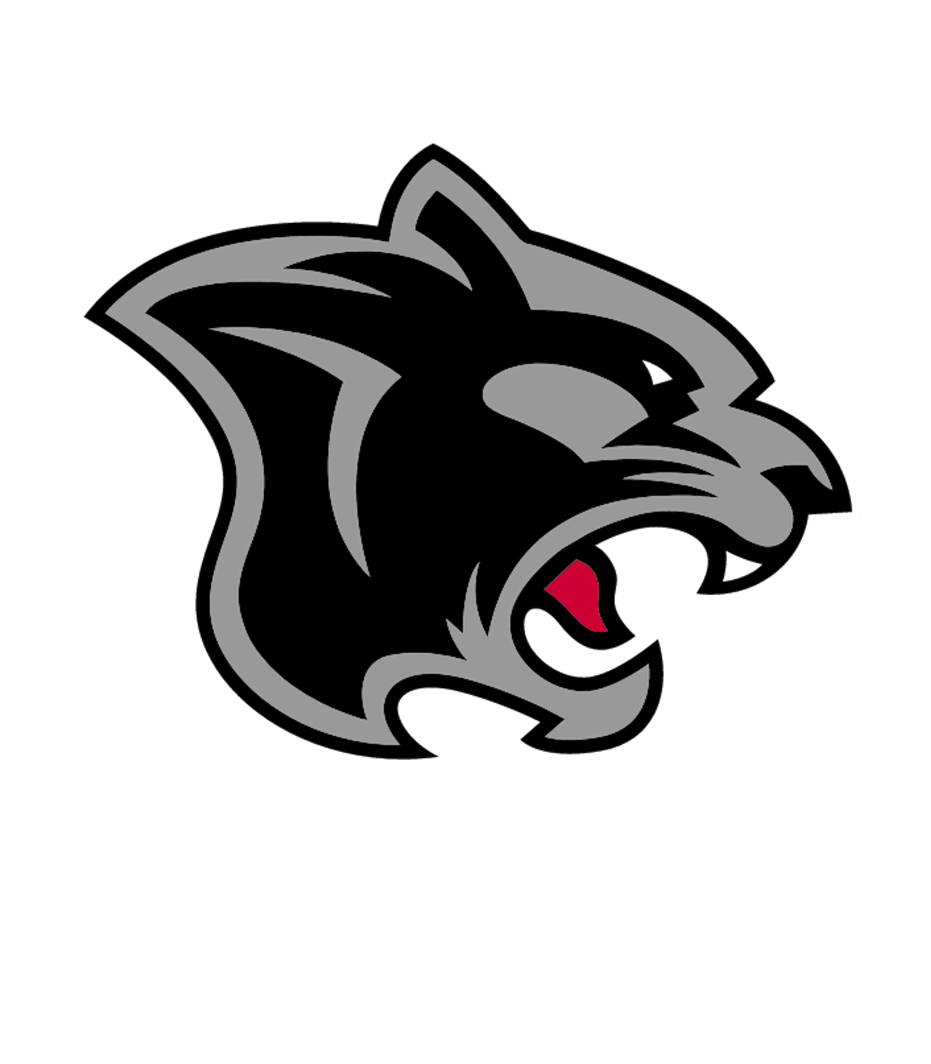Smiths Station High School Logo