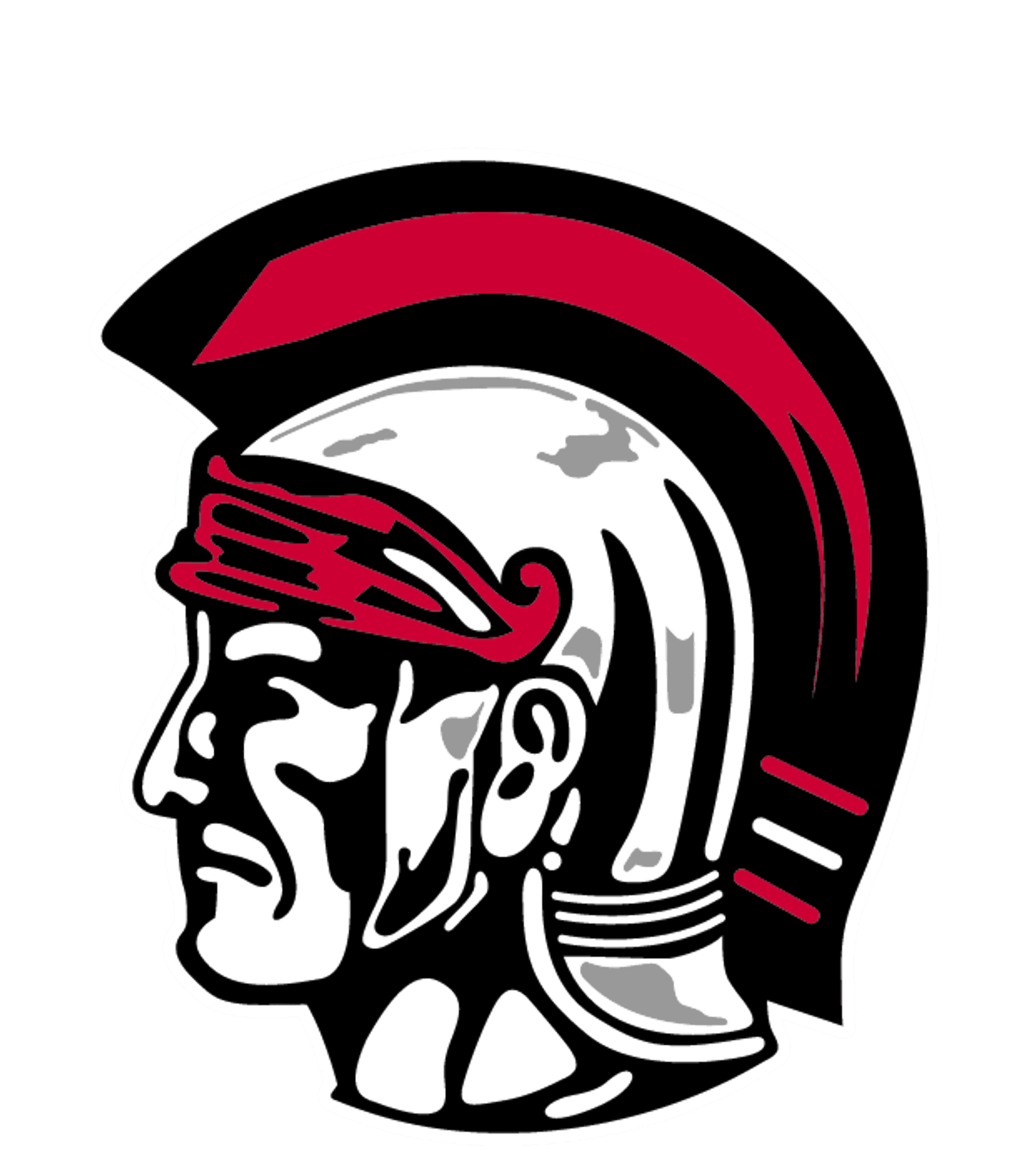 Troy High Logo