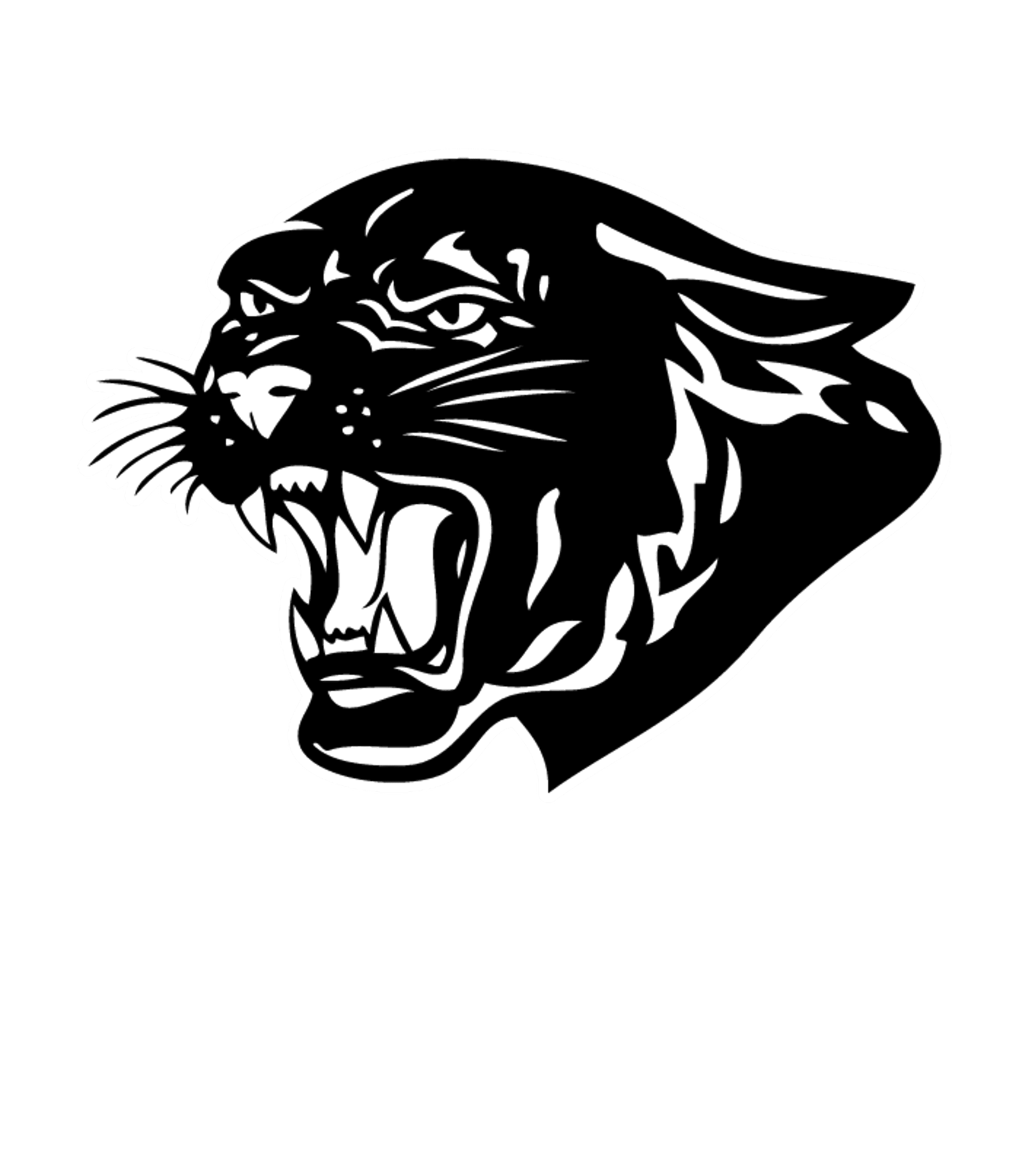 SPENCER-VAN ETTEN HIGH SCHOOL Logo