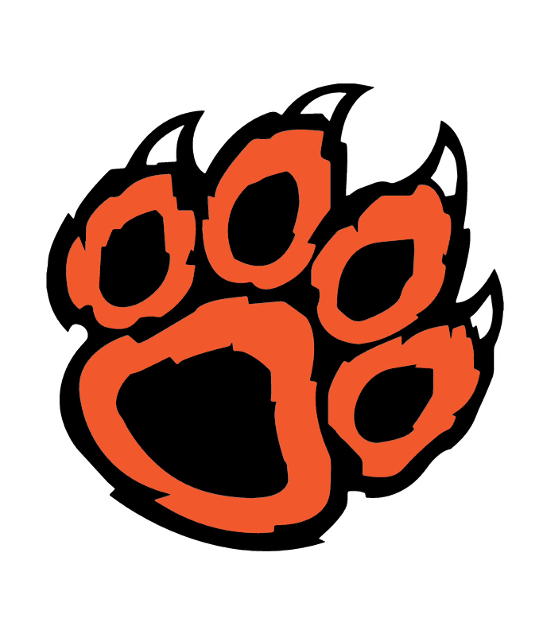 Verona Area High Logo