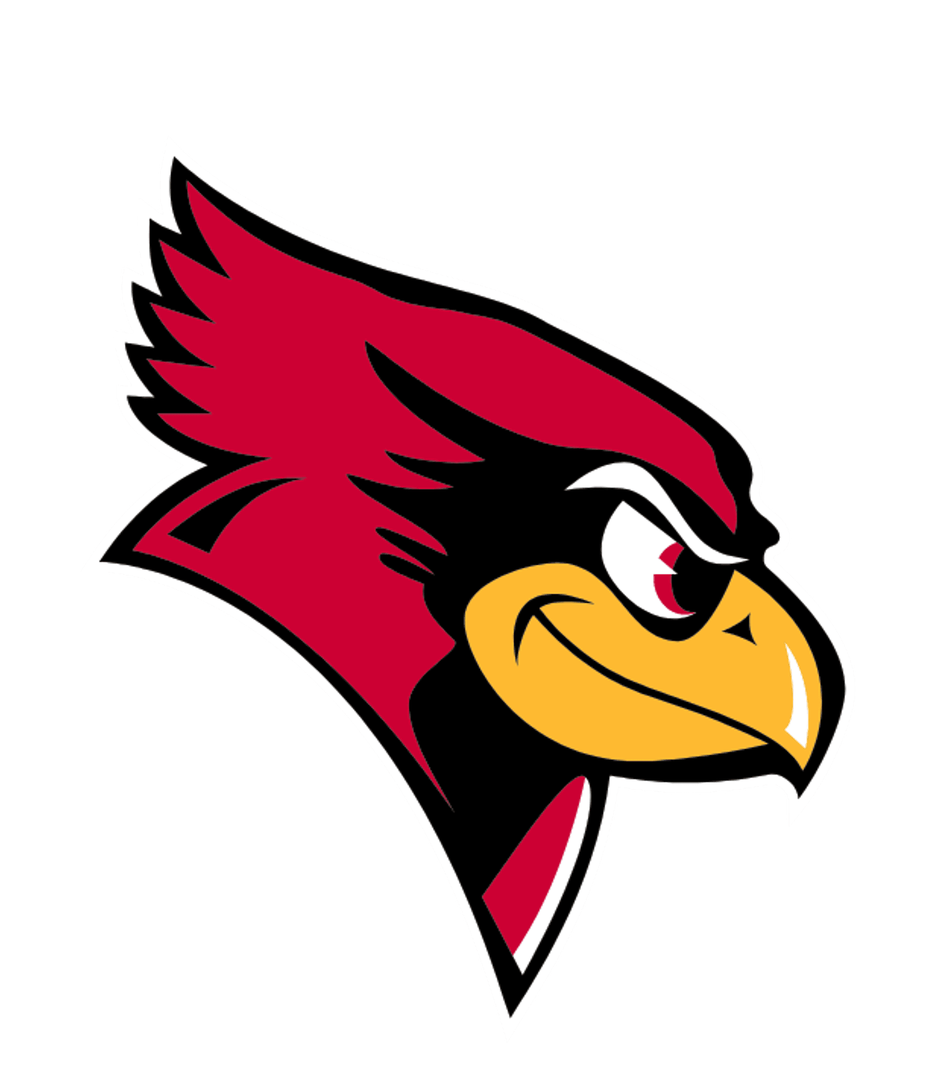 Virginia Jr/ Sr High School Logo