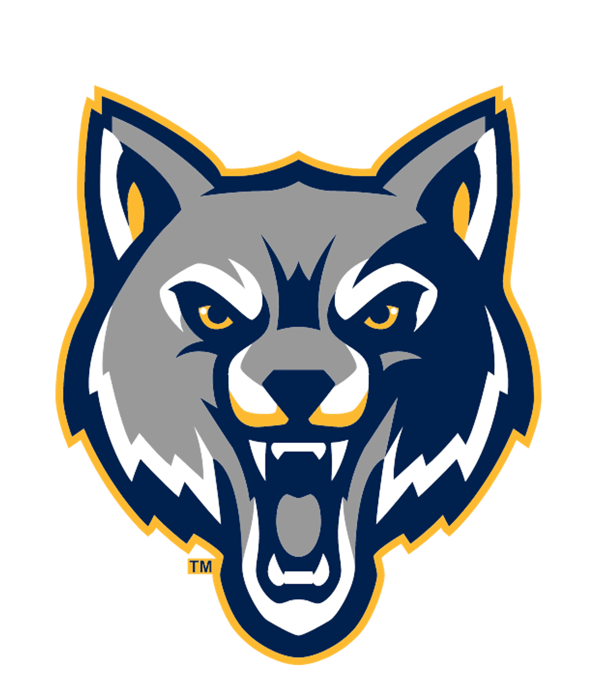 Ygnacio Valley High Logo