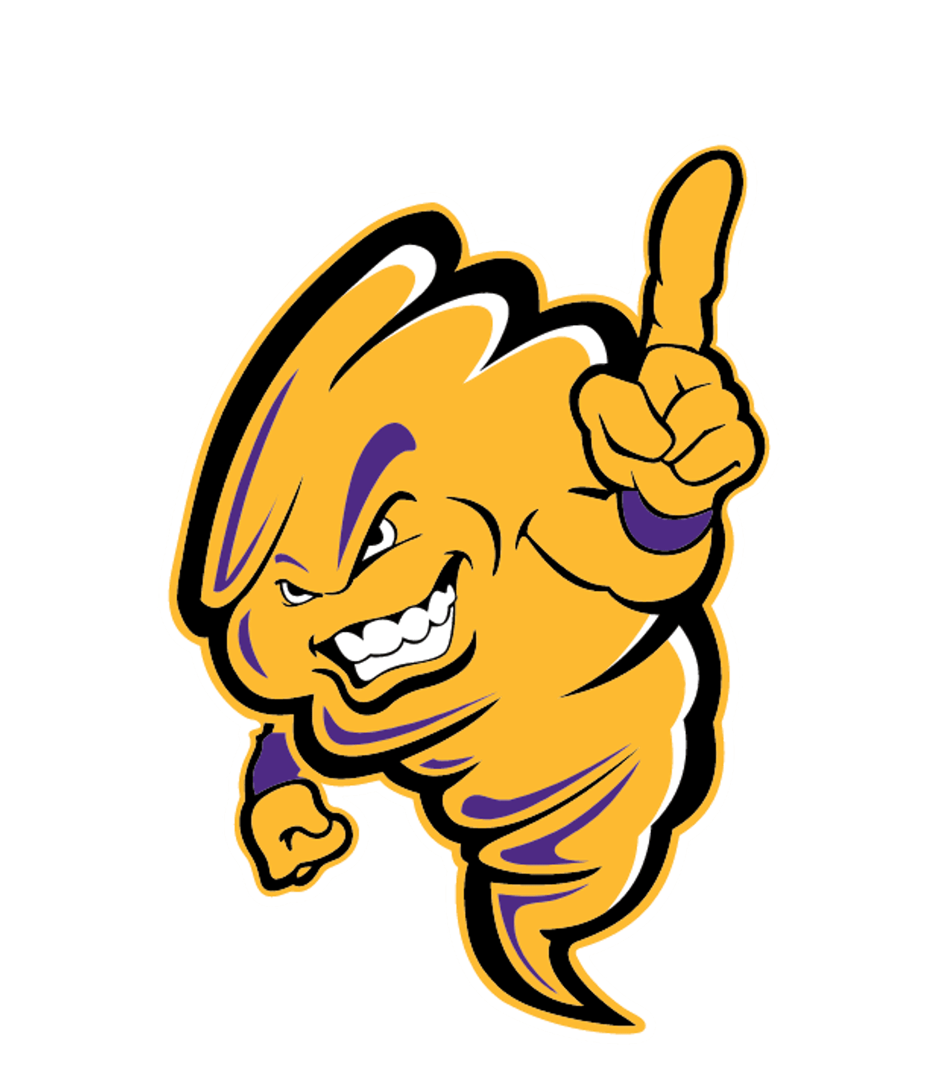 BALL H S Logo