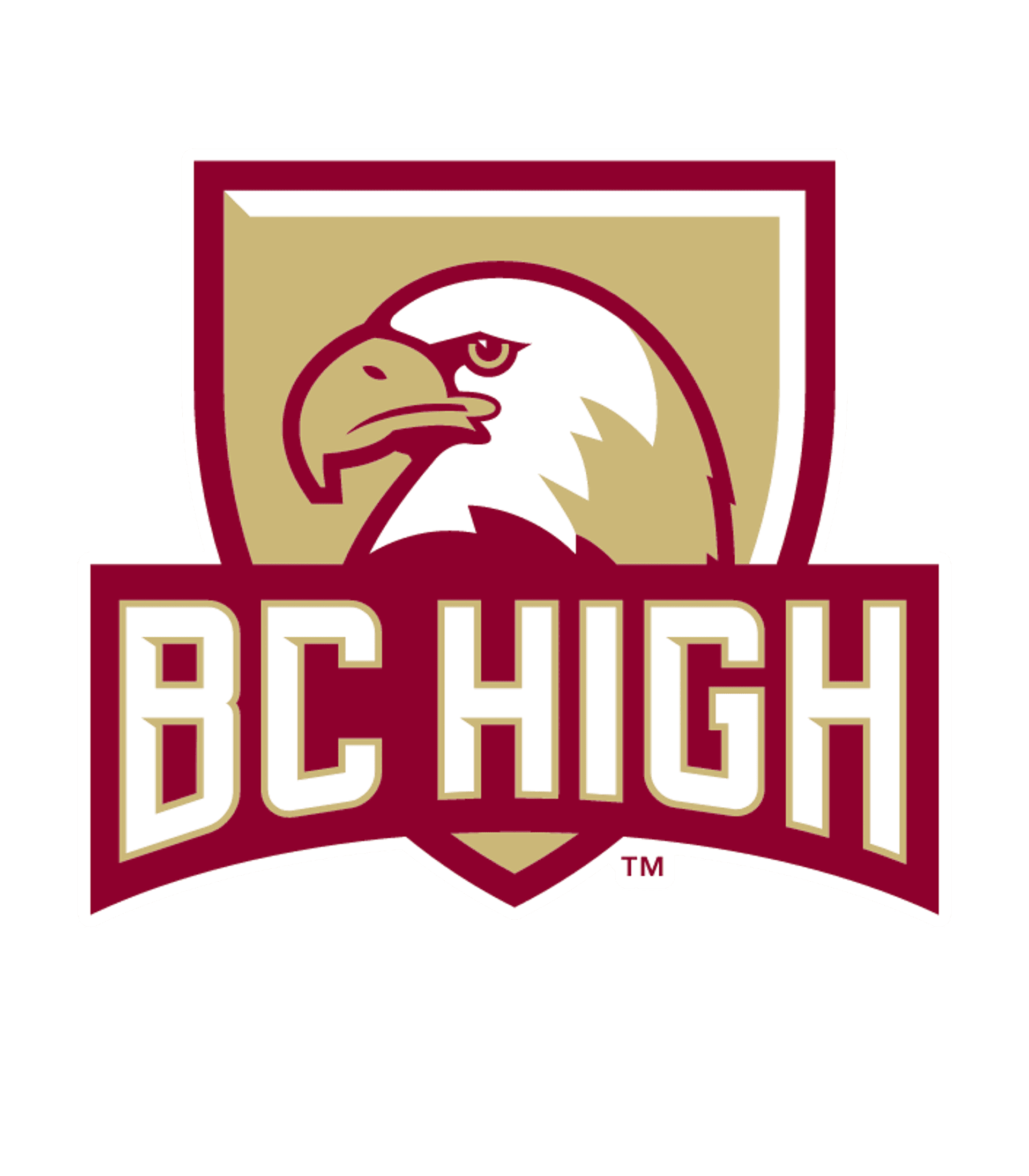Boston International High School & Newcomers Academy Logo