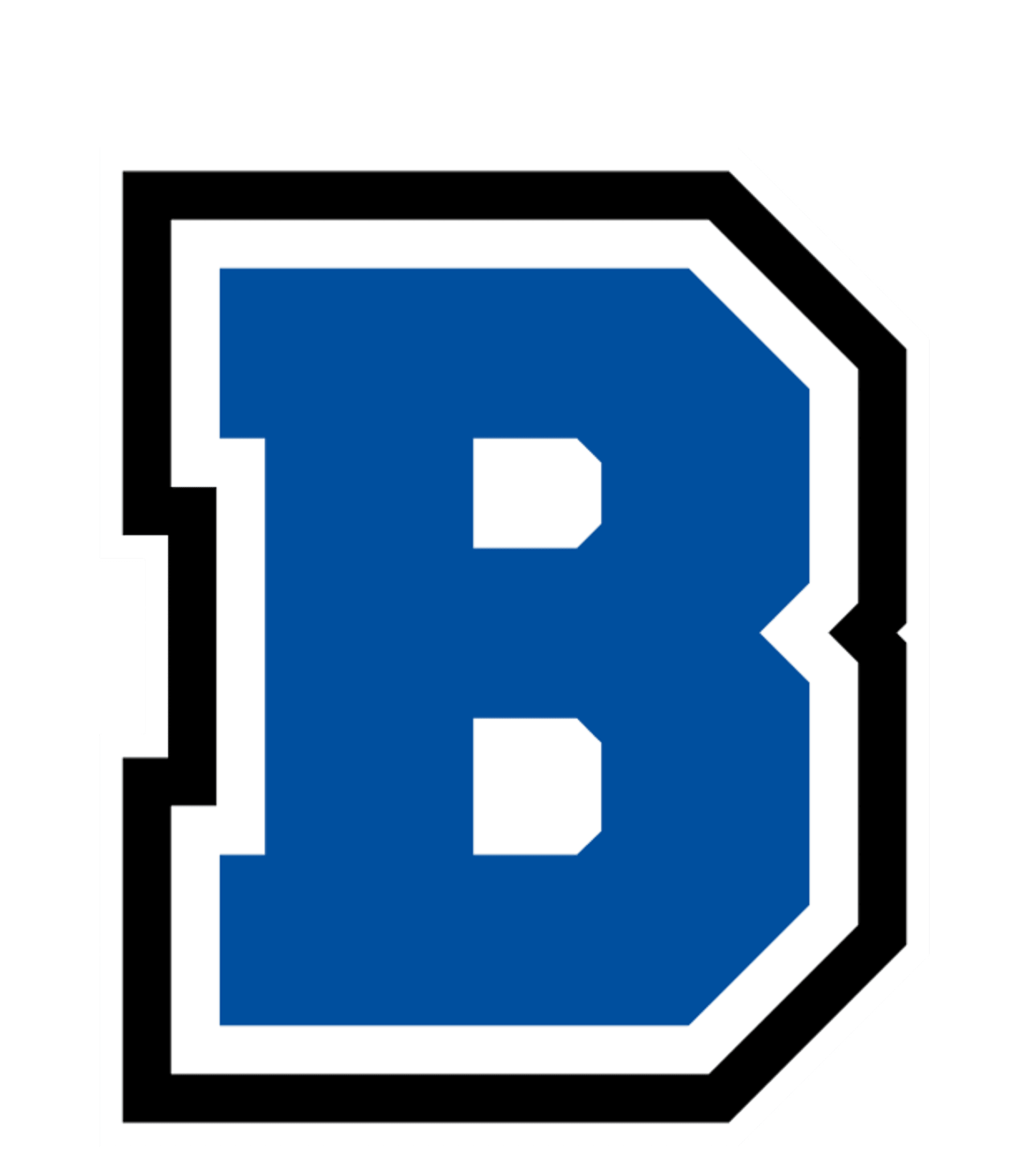 BRAHAM AREA SECONDARY Logo