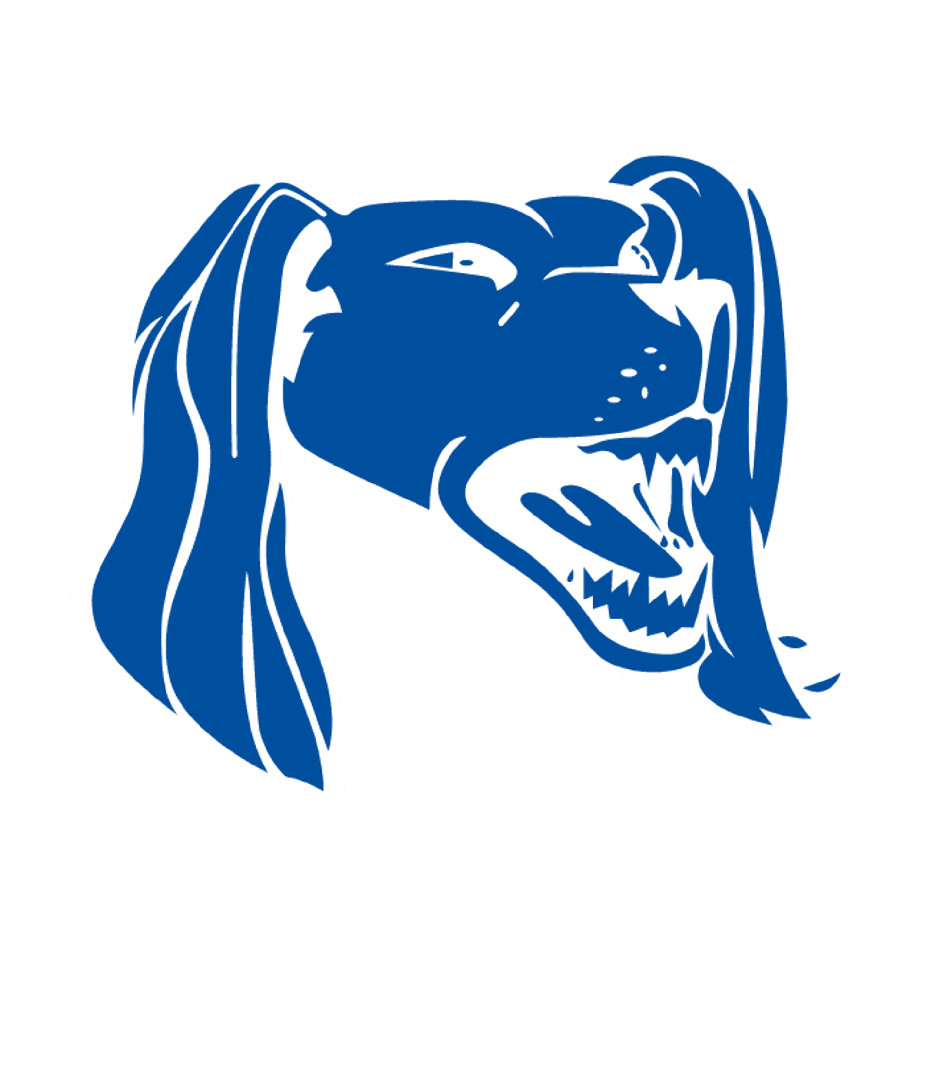 Red Hill Jr/Sr High School Logo